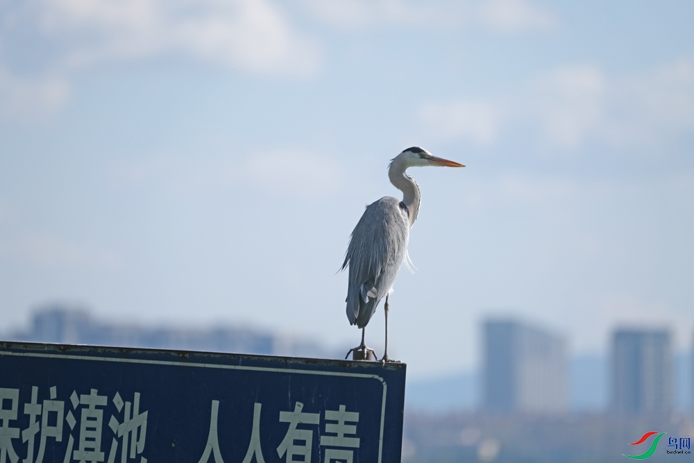 DSCF8921.1.jpg