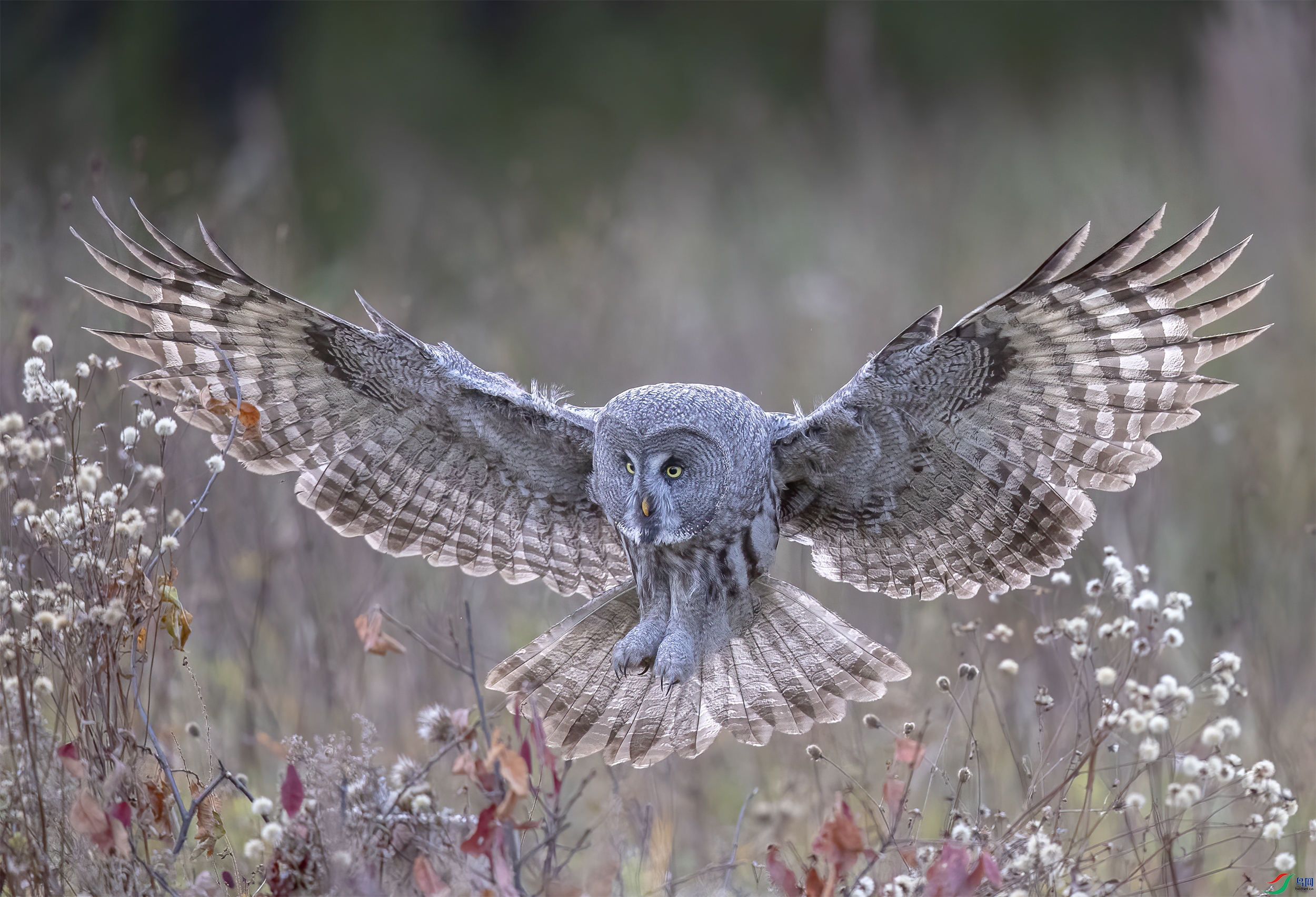 AC3I7127 ����.jpg