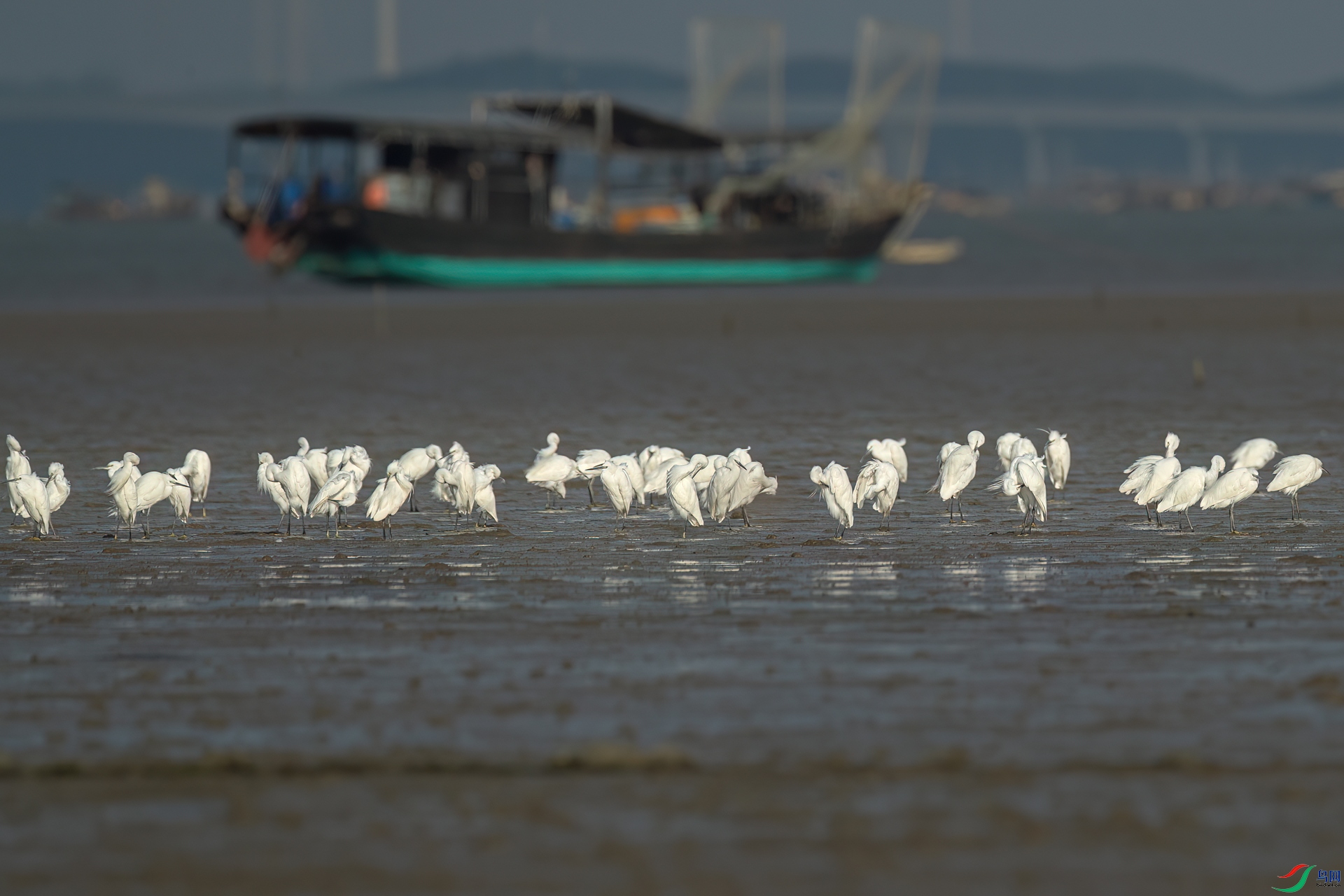 B86I7448 _����.jpg