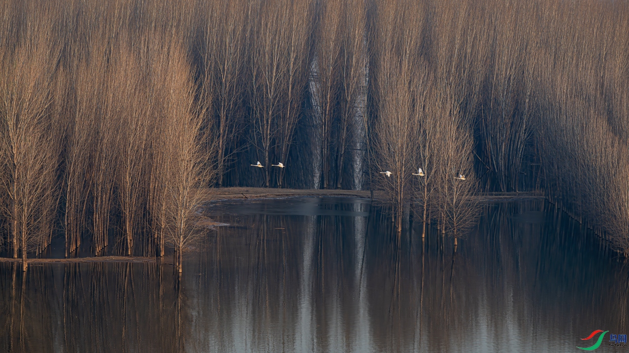 Զ�мĴ��⣬����������!