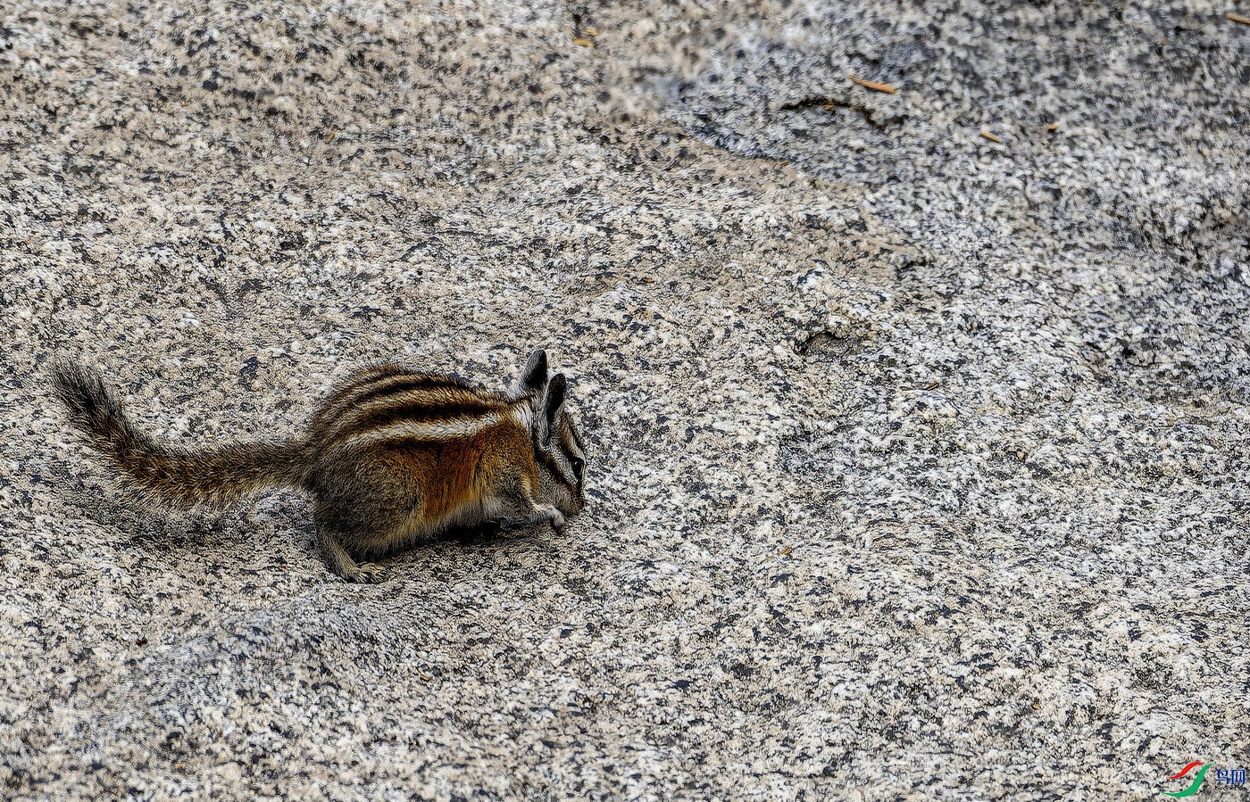 ���� (10)-1.jpg