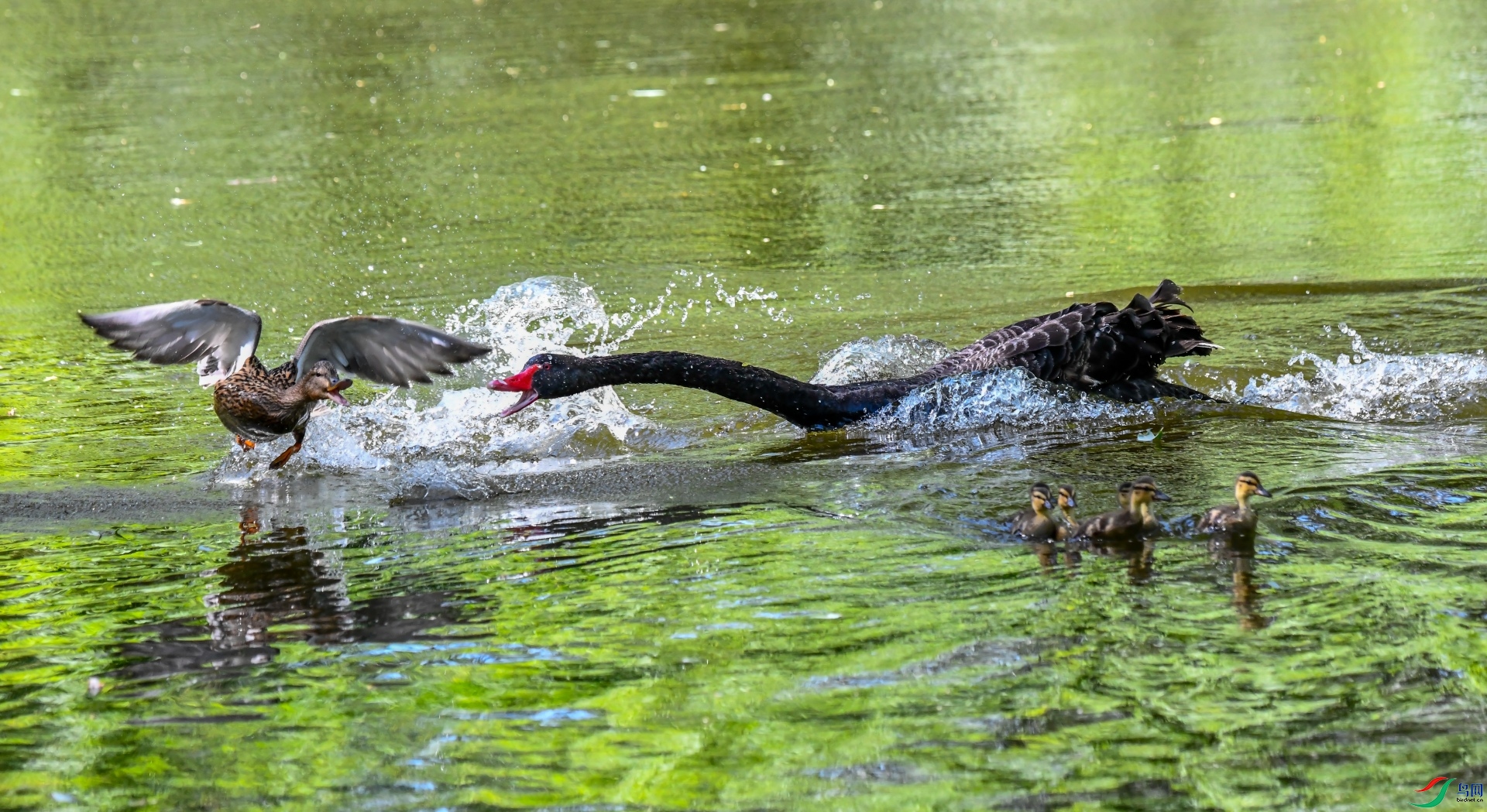 �뿪�ҵ���أ�