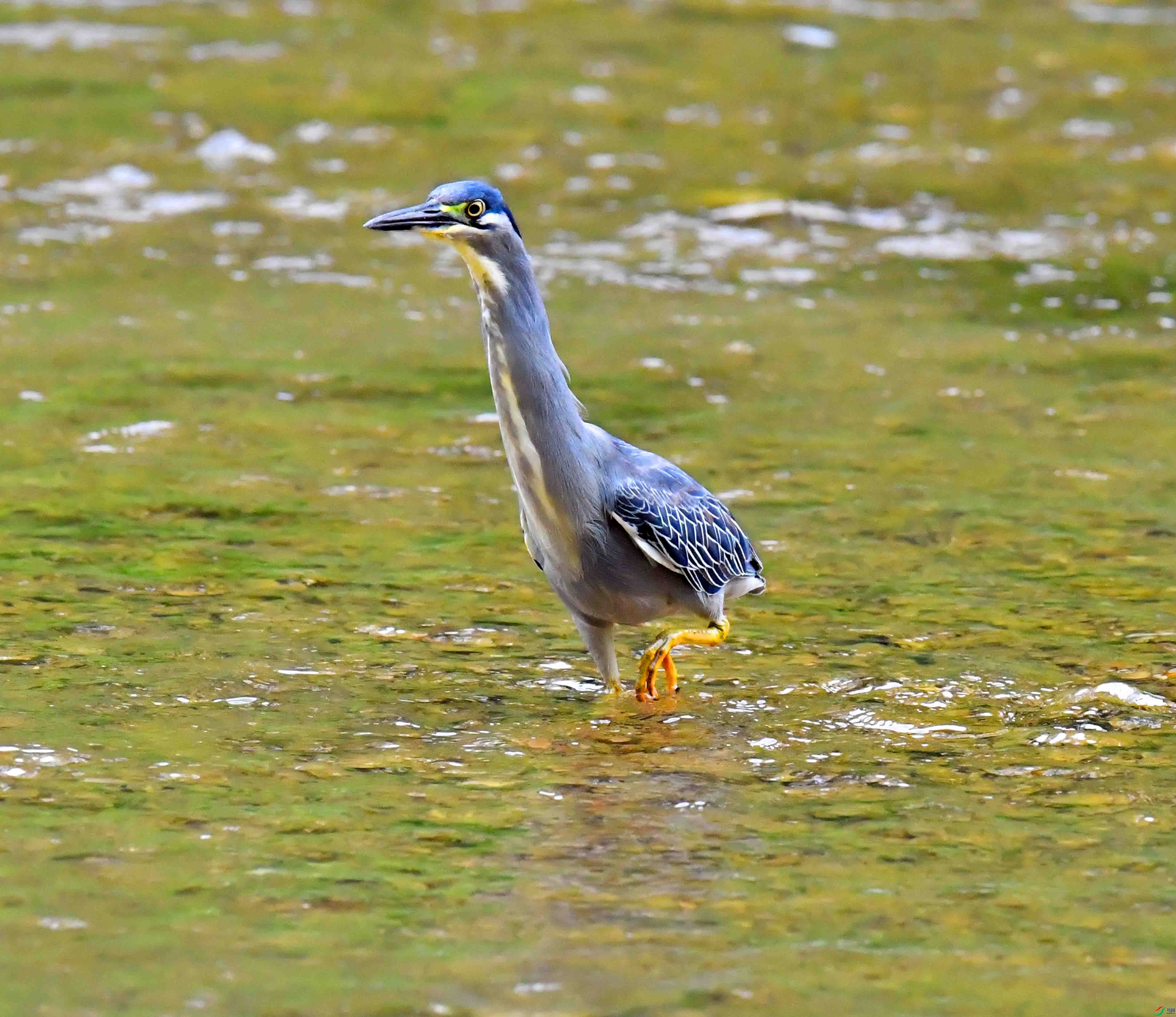 DSC_0581.JPG