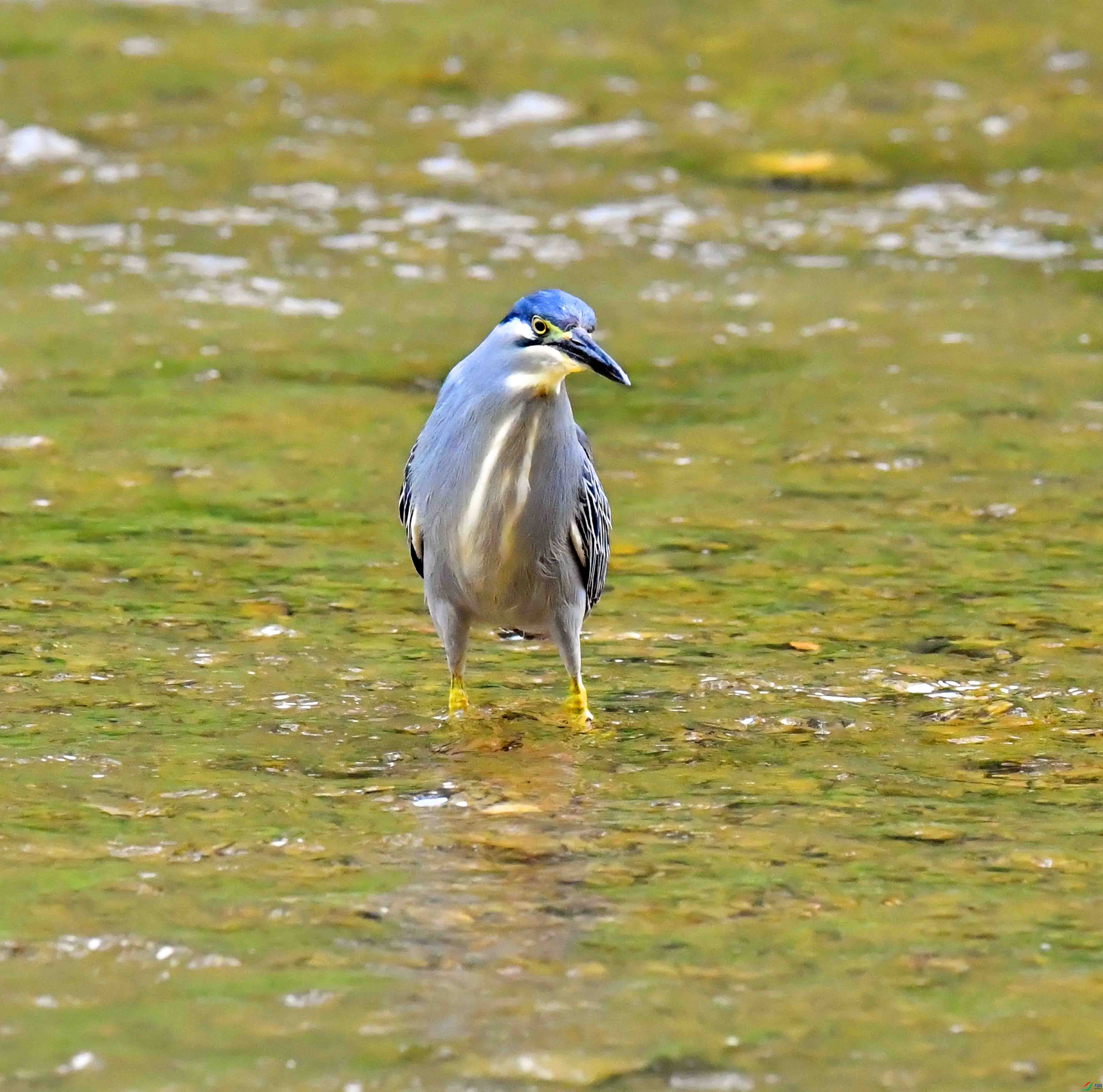 DSC_0583.JPG