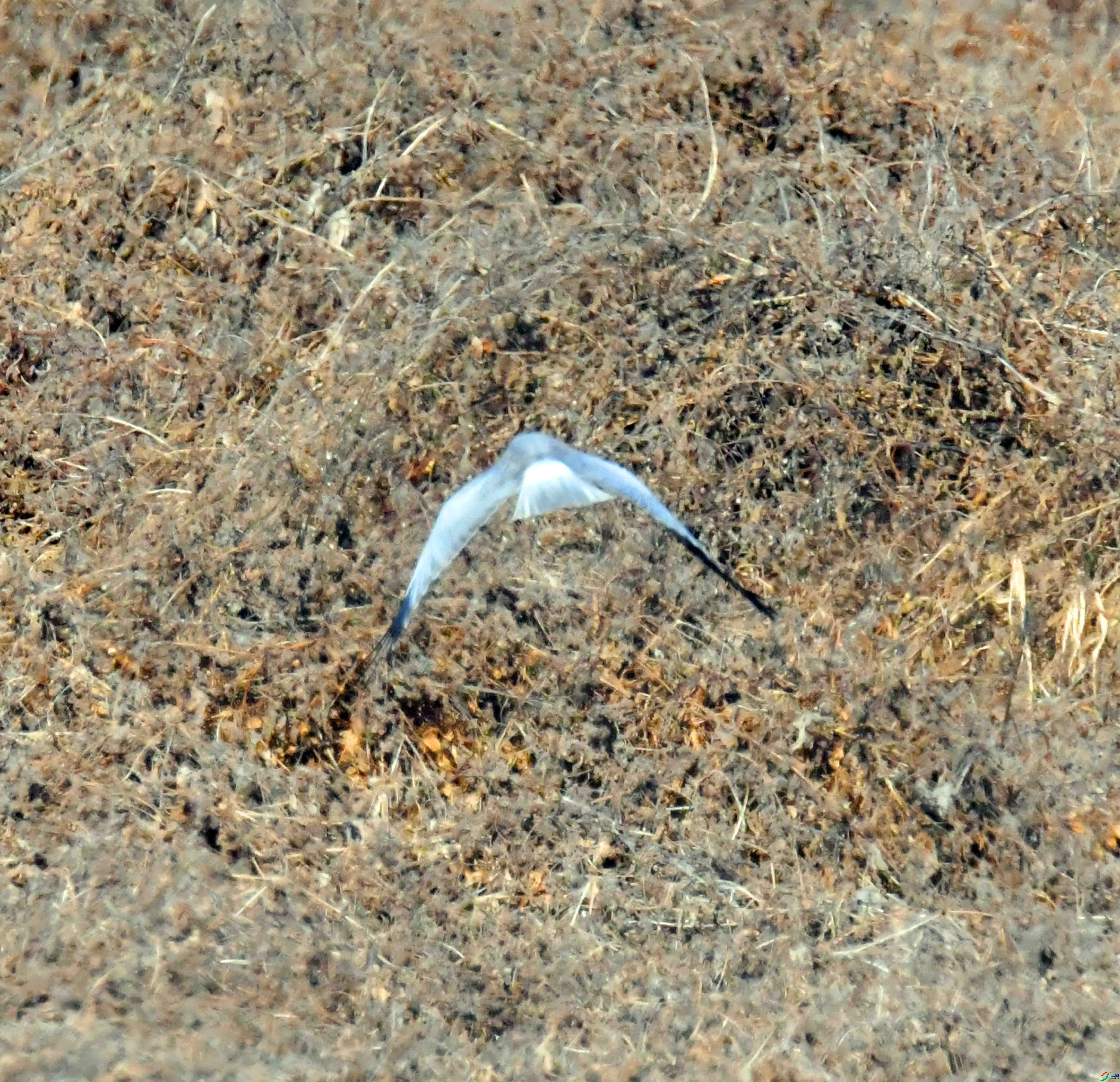 DSC_6793.JPG