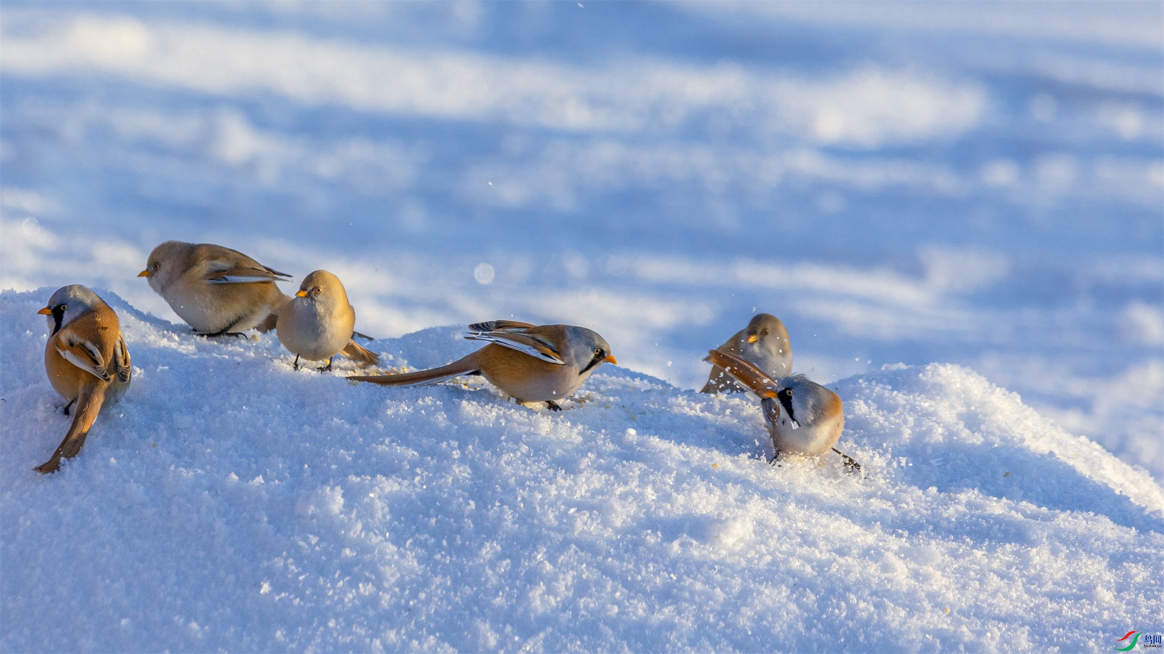 1K3A1030 ����1.jpg