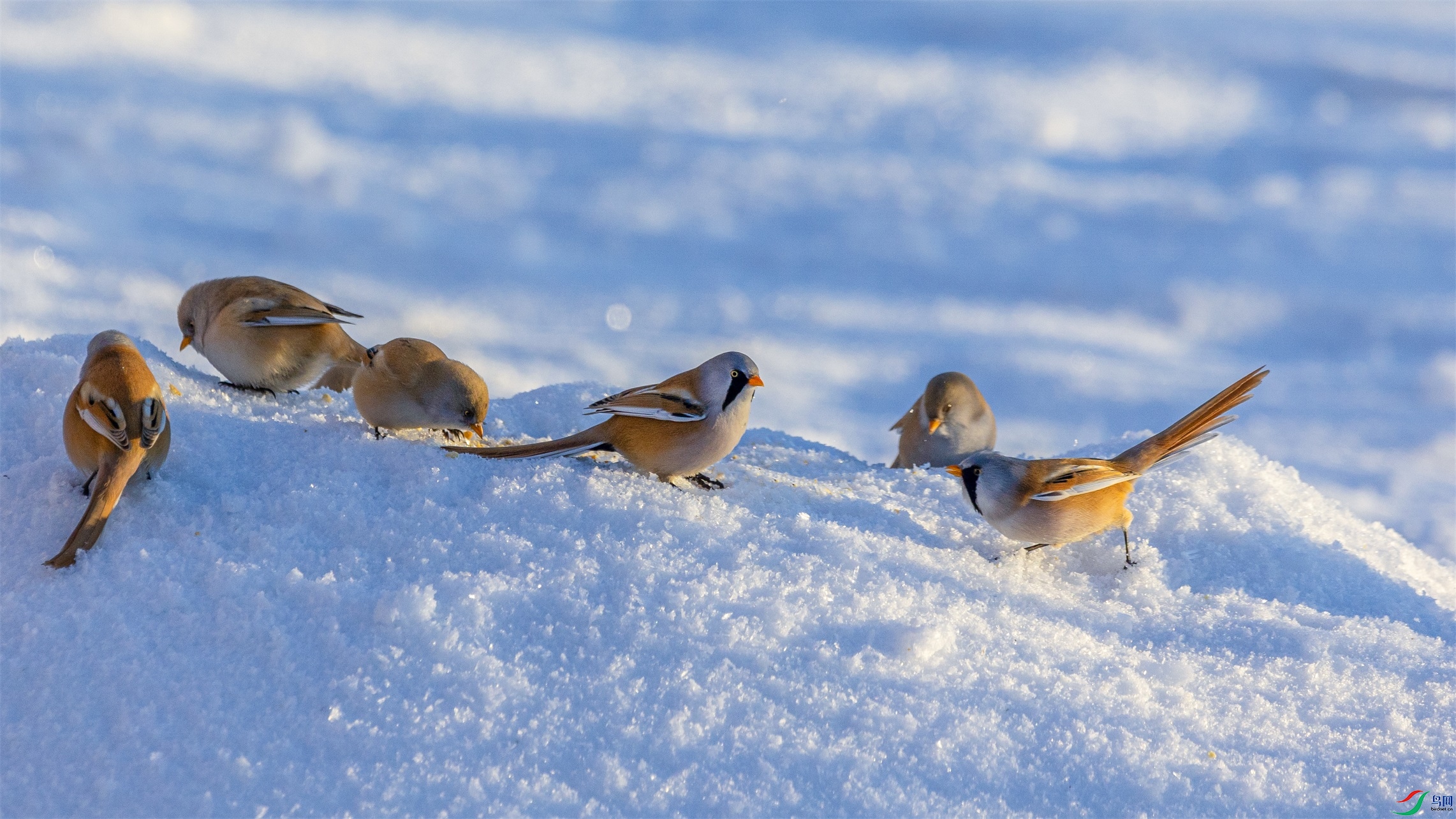 1K3A1034 ����1.jpg