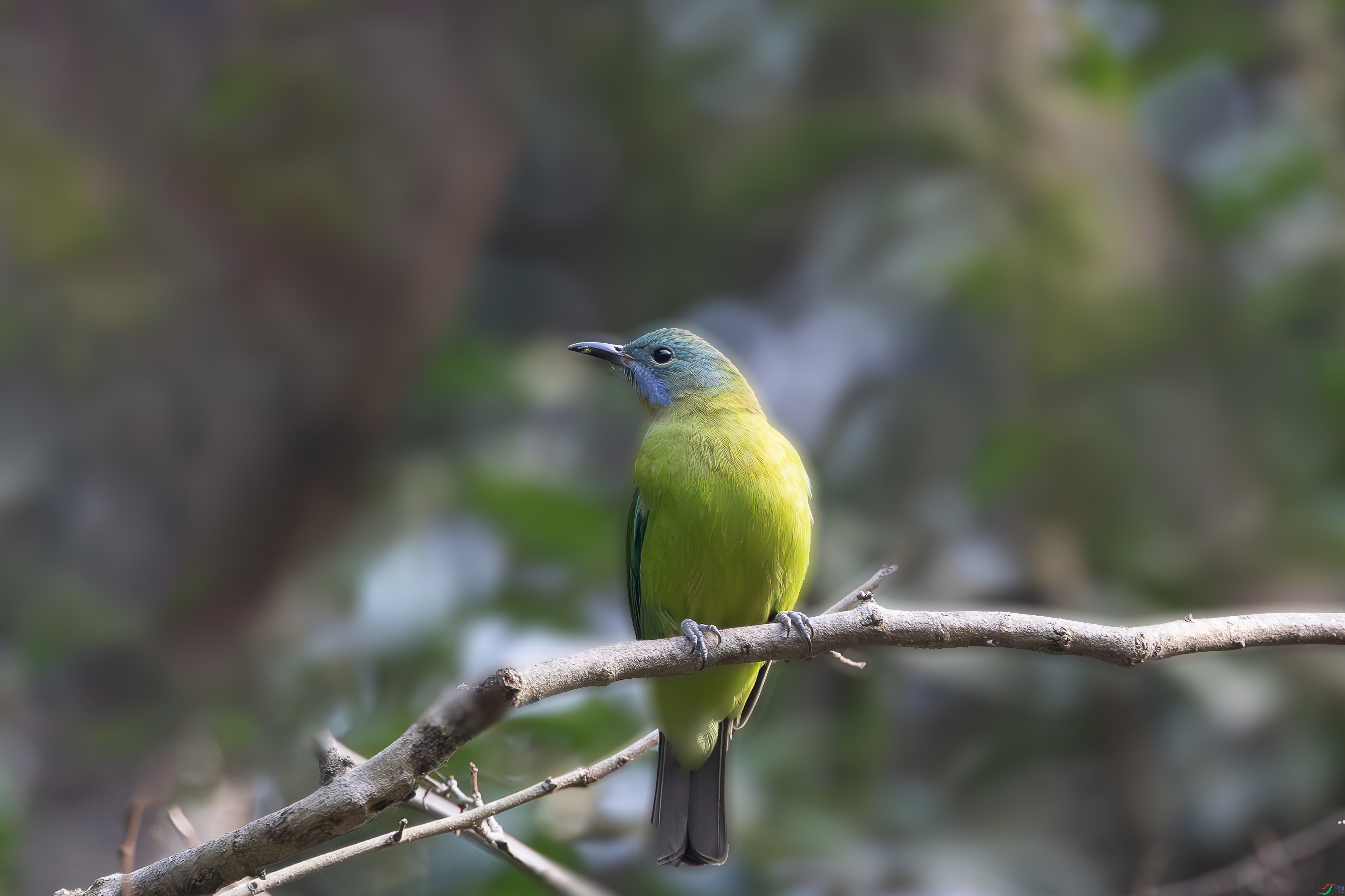 6090 ����.jpg