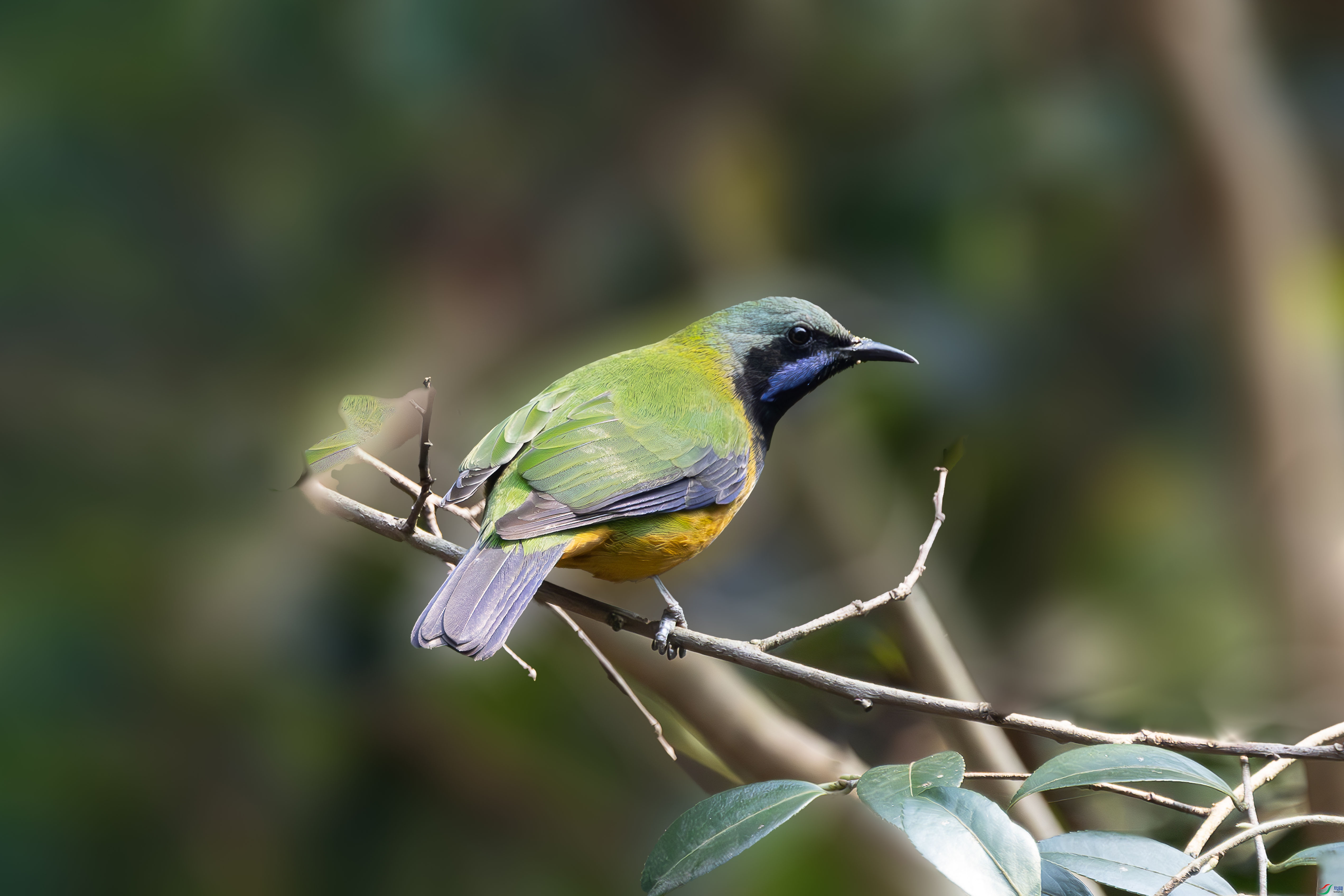 6234 ����.jpg