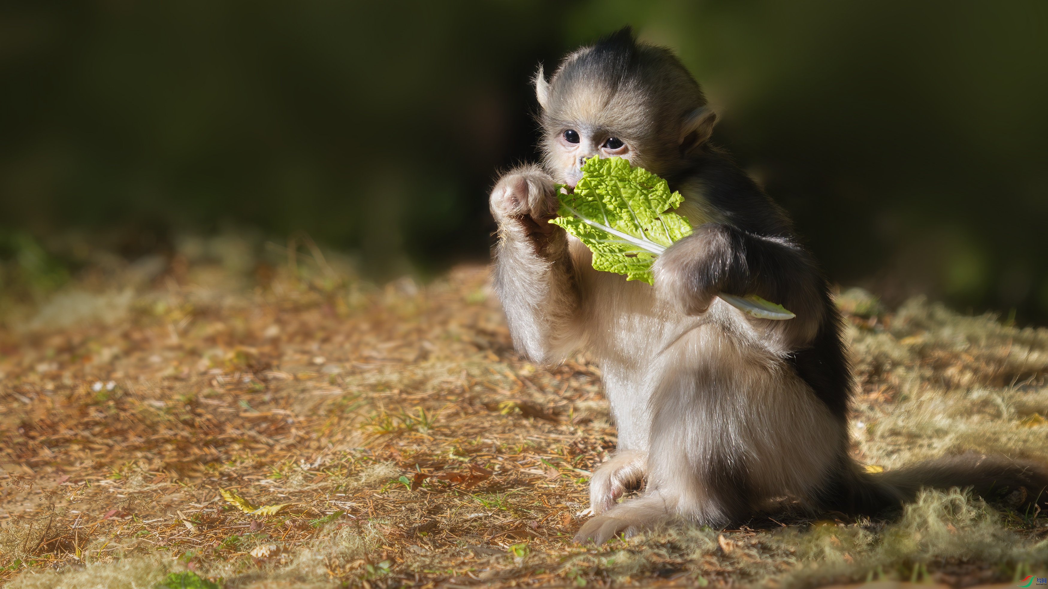 DSC05214 ����.jpg