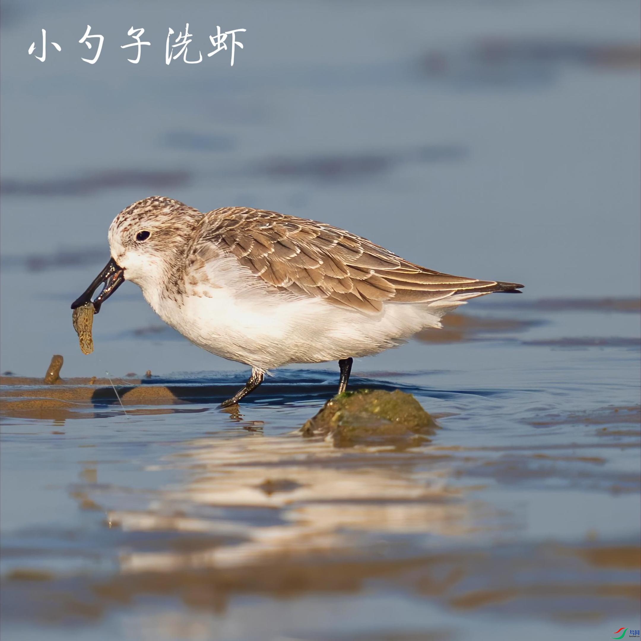 12��18�� (2)-����.jpg