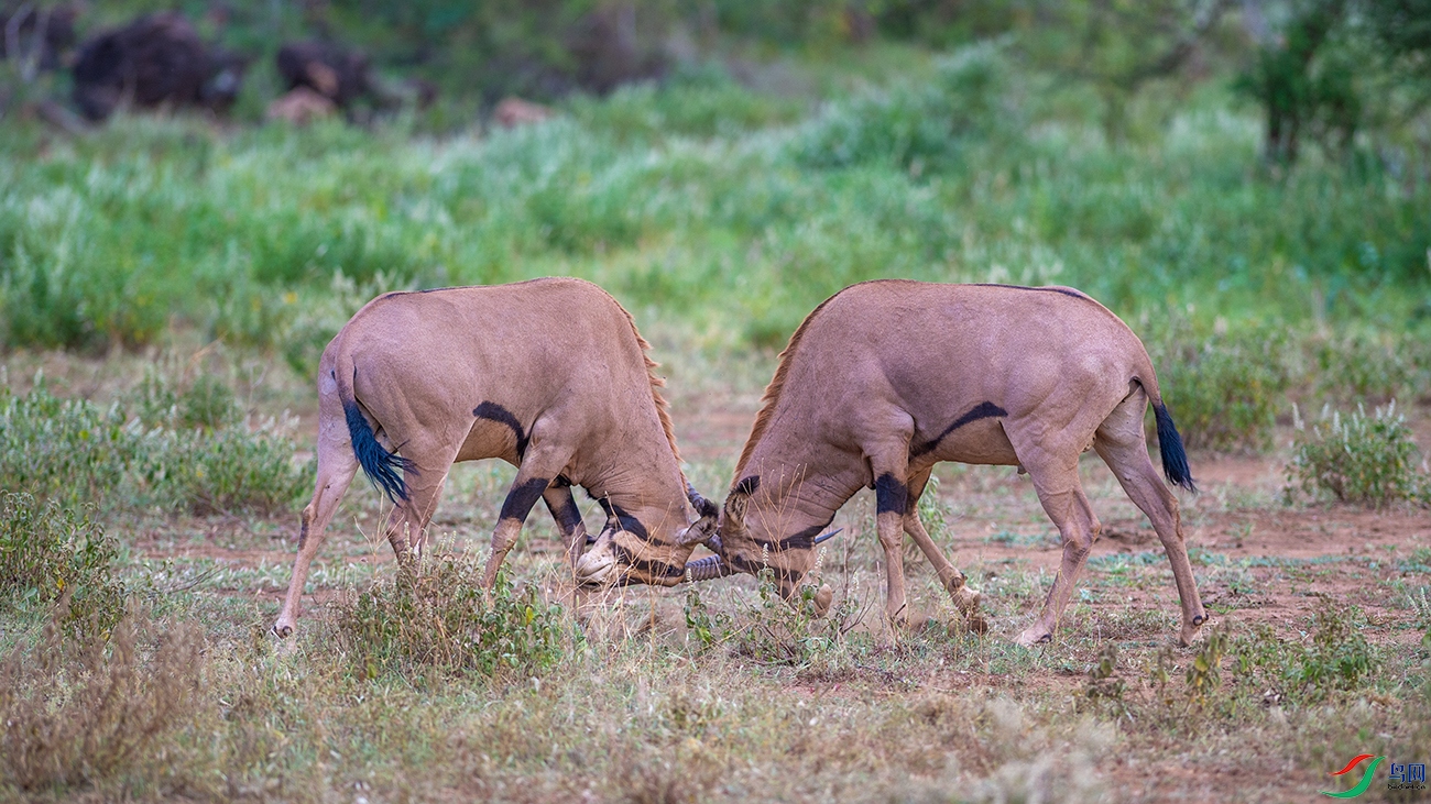 DSC_2874.jpg