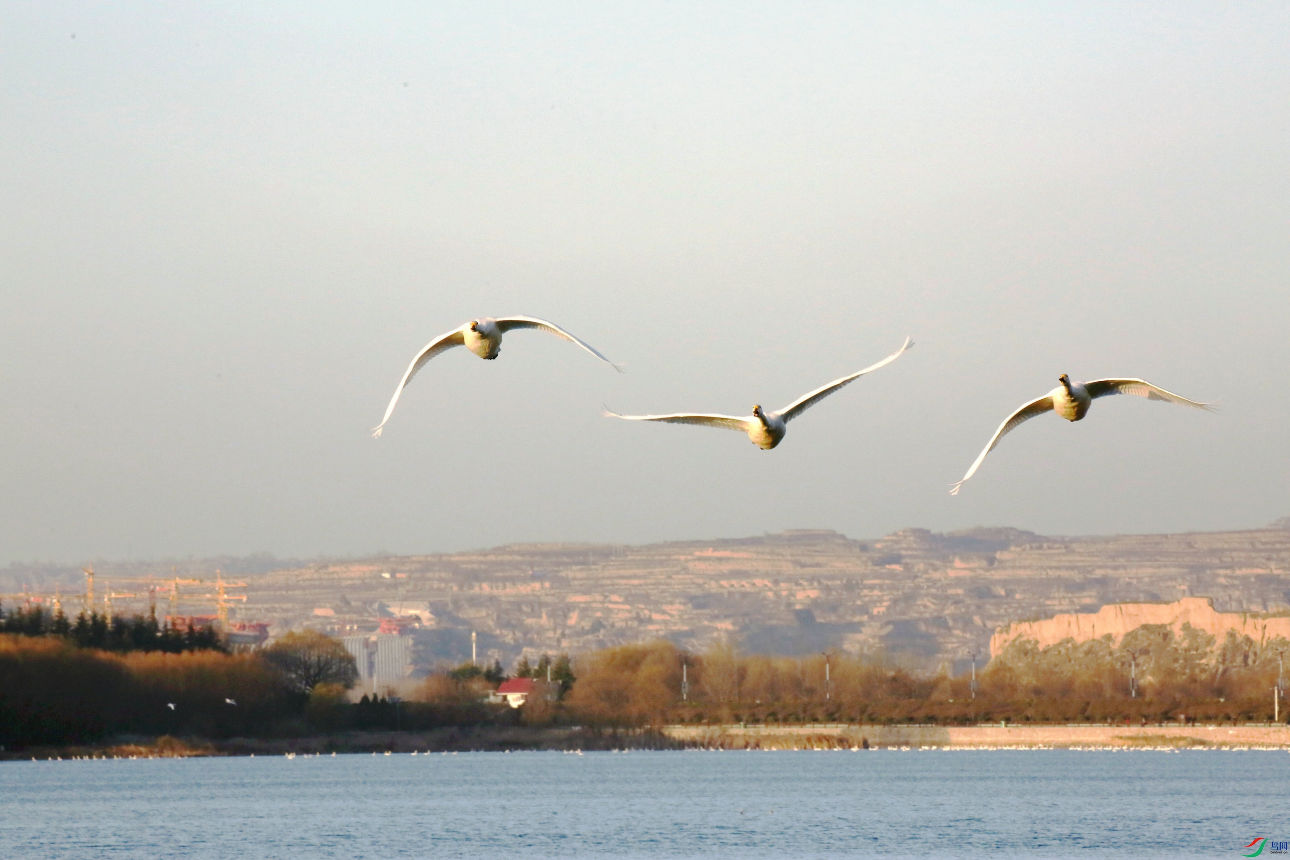 BG3A4344_����.jpg