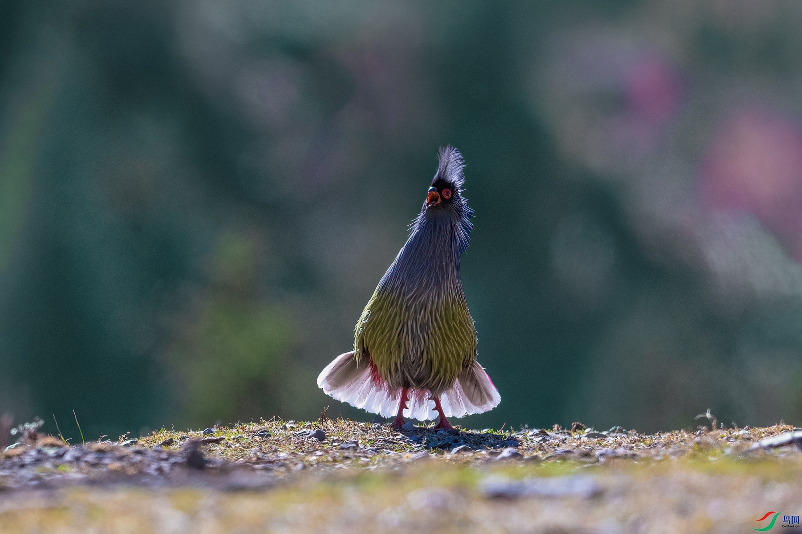 ��ƬDSC_3854 ����.jpg