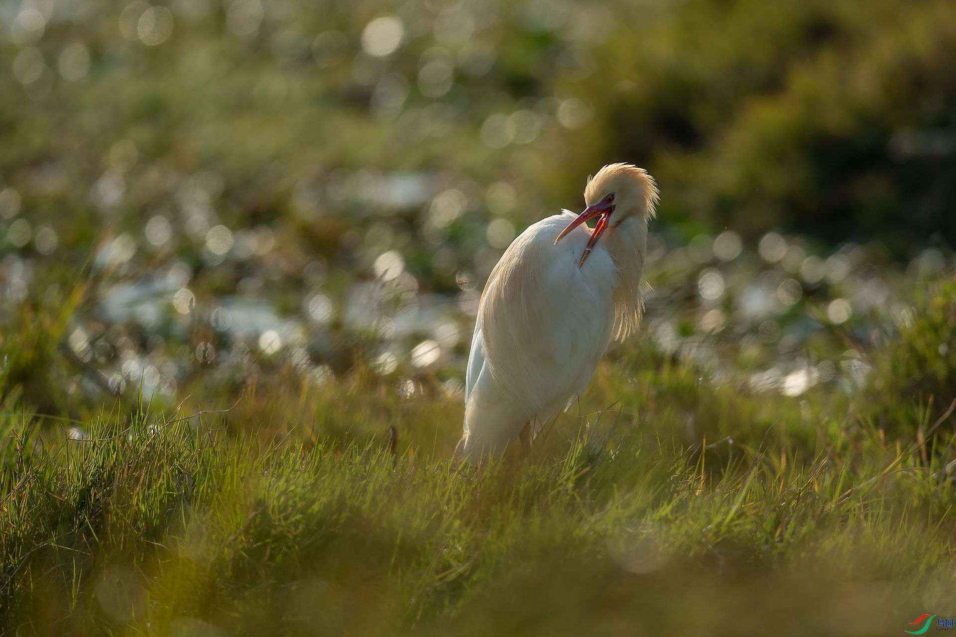 DSC_5305.jpg