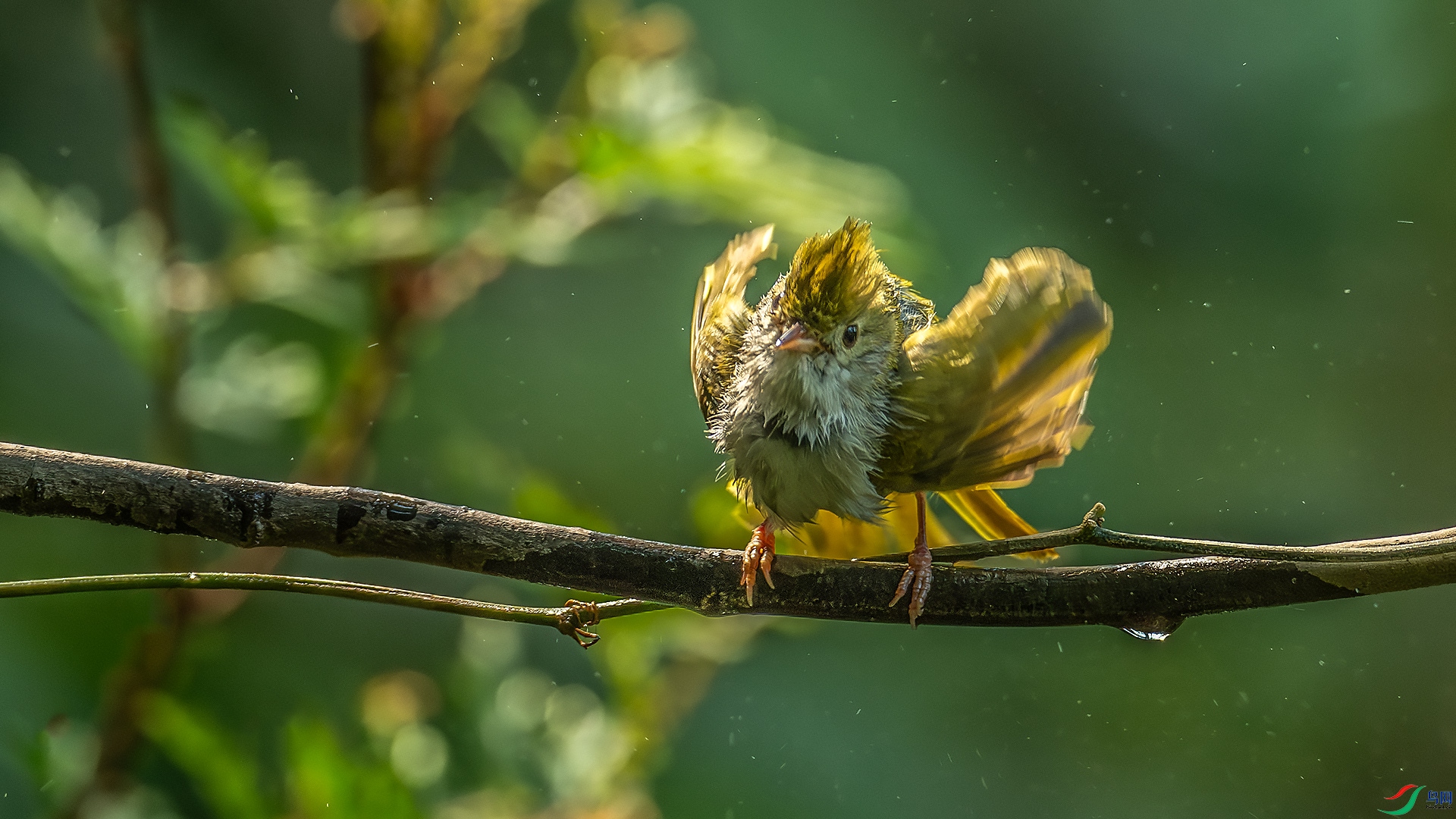 DSC_5654-����ǿ-NR.jpg