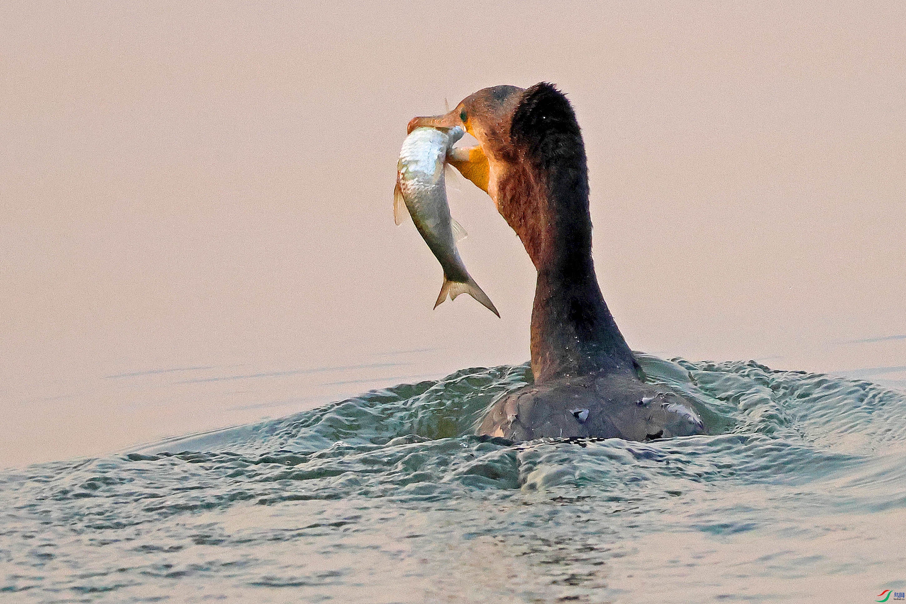 2G9A0490.JPG