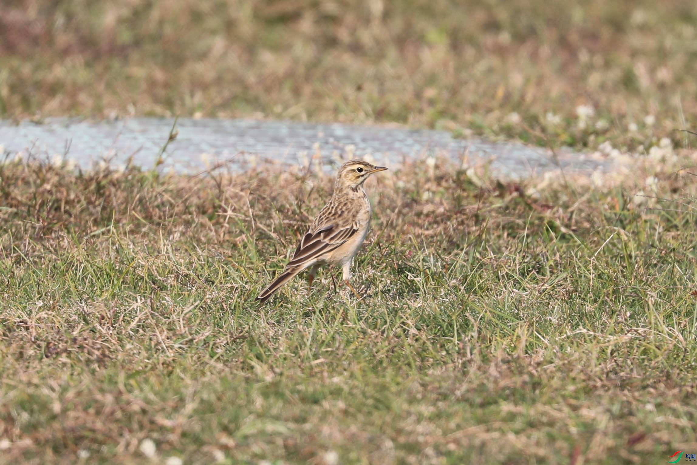 BL7A8429.JPG
