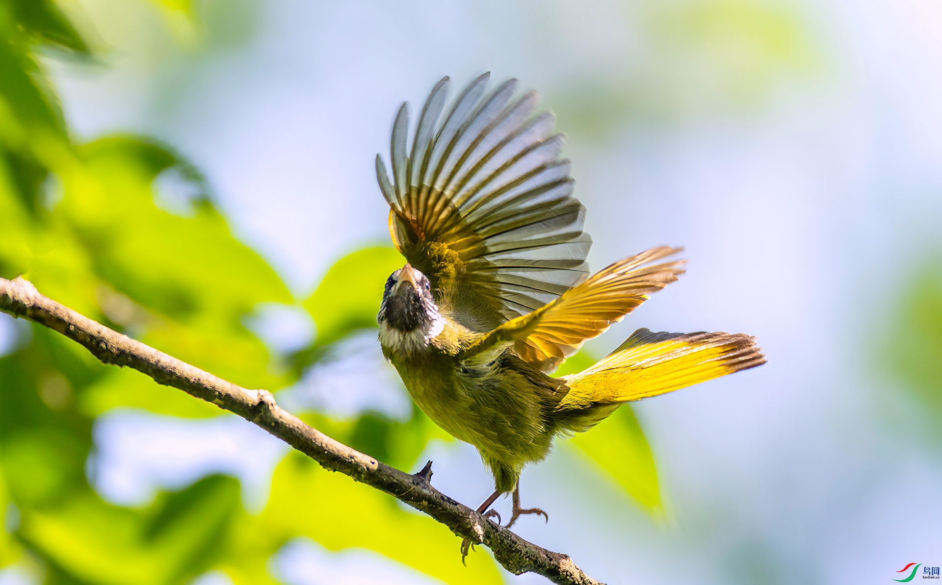 407A2729 ����-Sh--1 .jpg