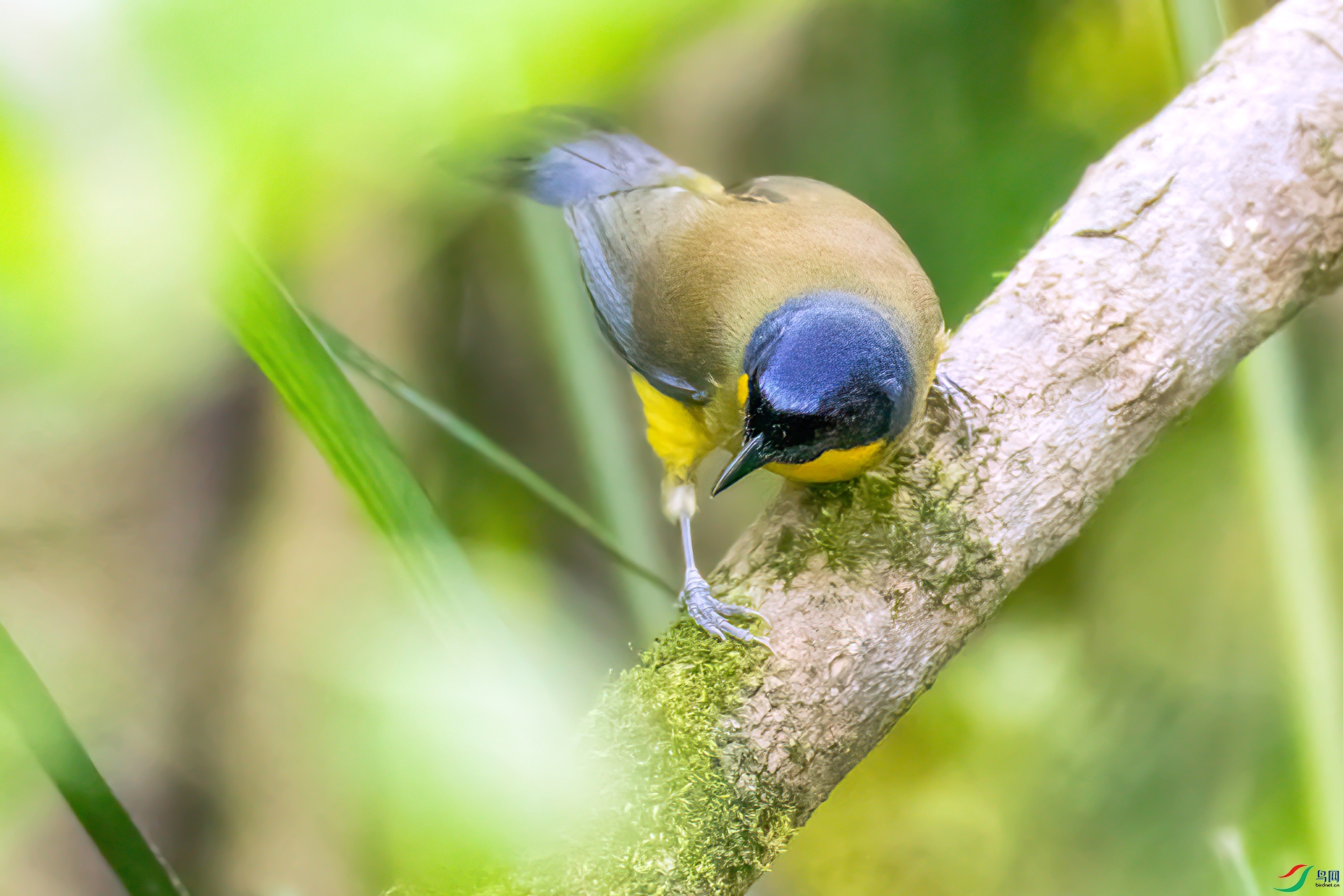 407A2562 ����-Sh----1 .jpg