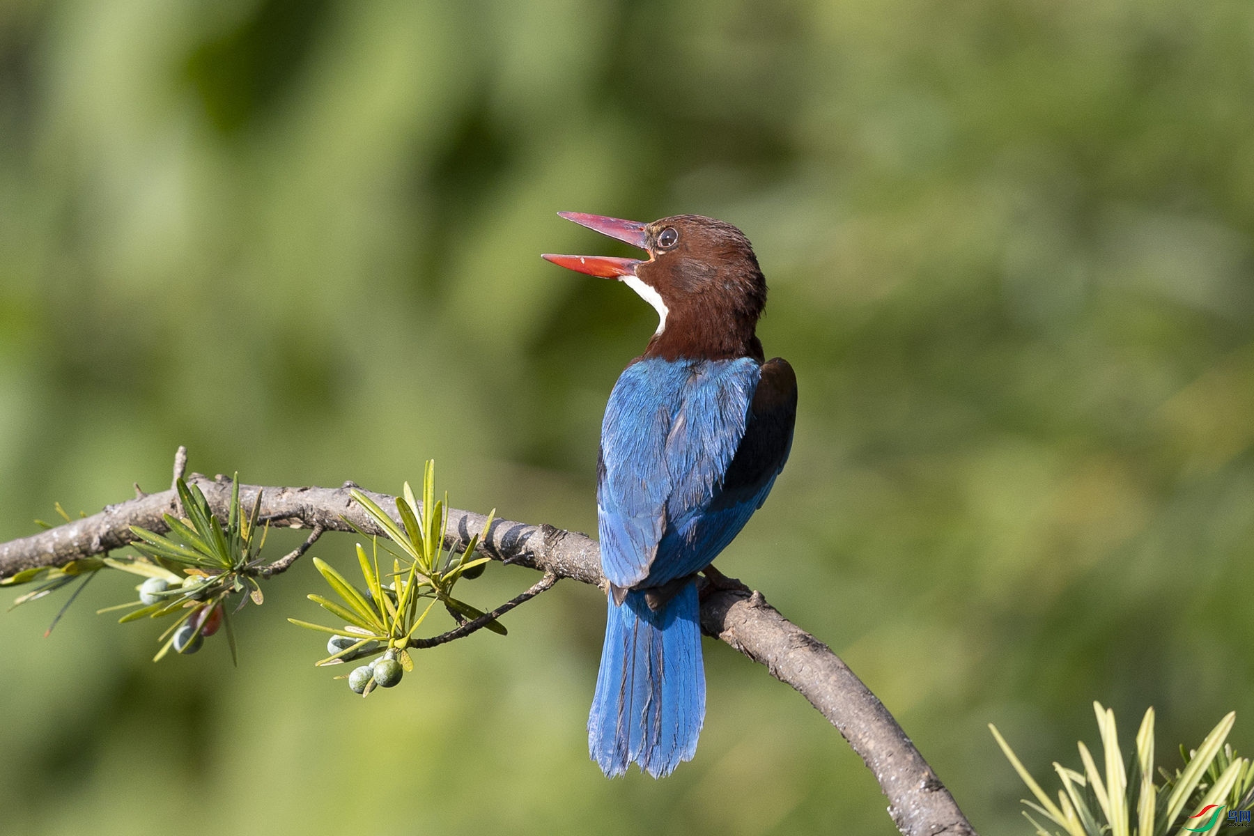 �������