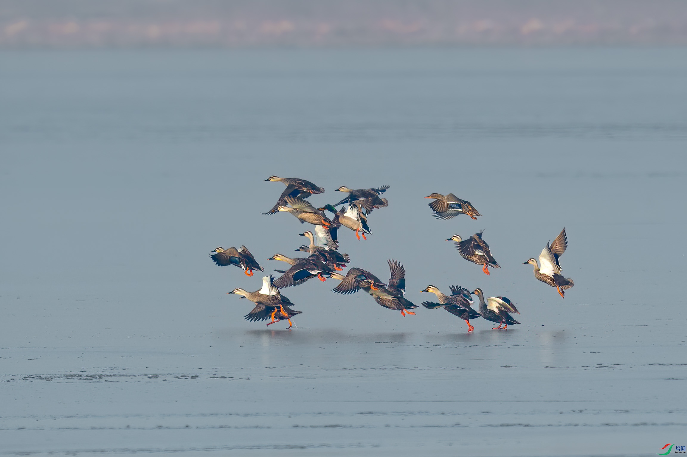 sen2016 12-29-6-�༭-�༭.jpg