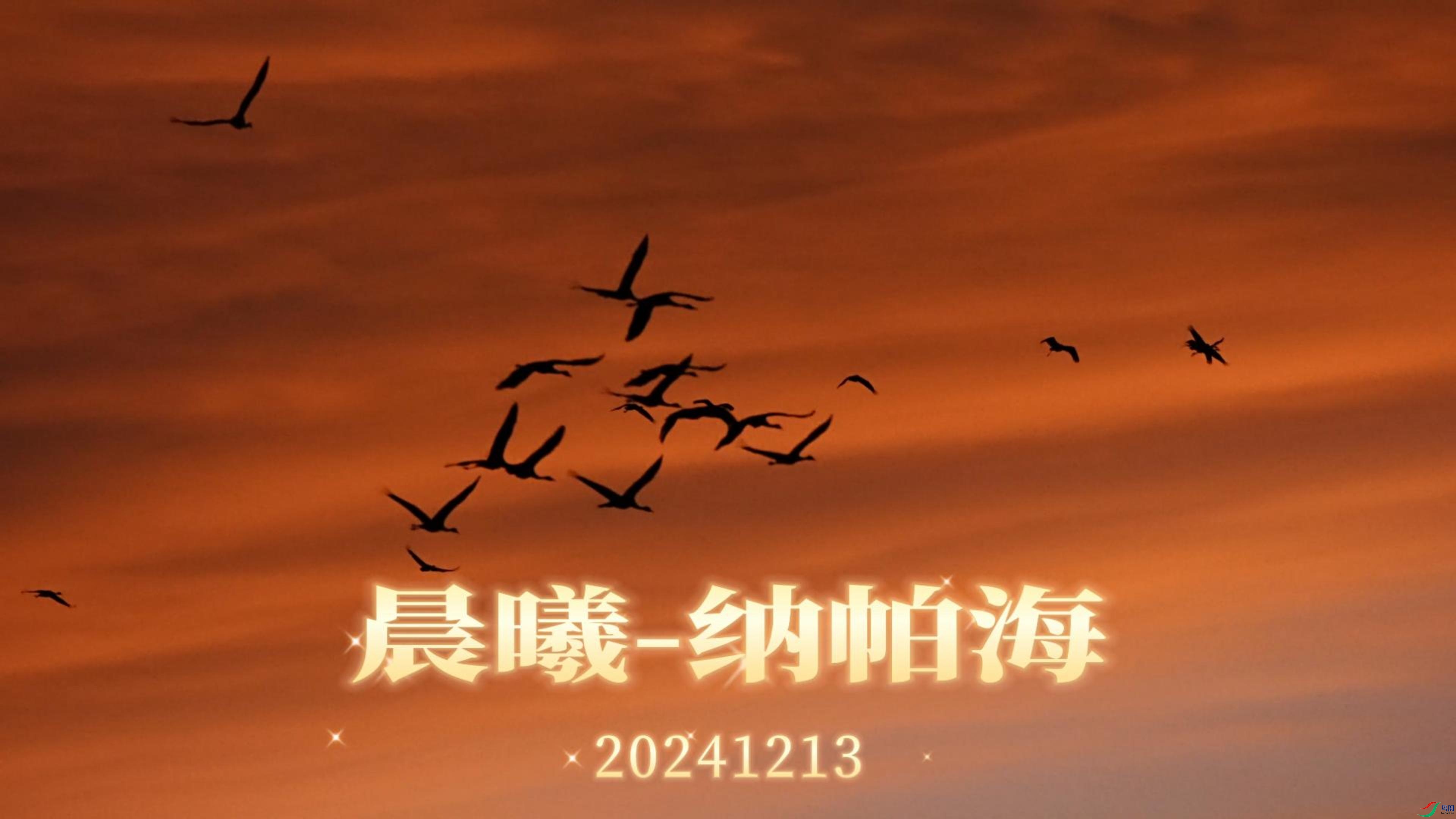 12��20�� (1)(2)-����.jpg