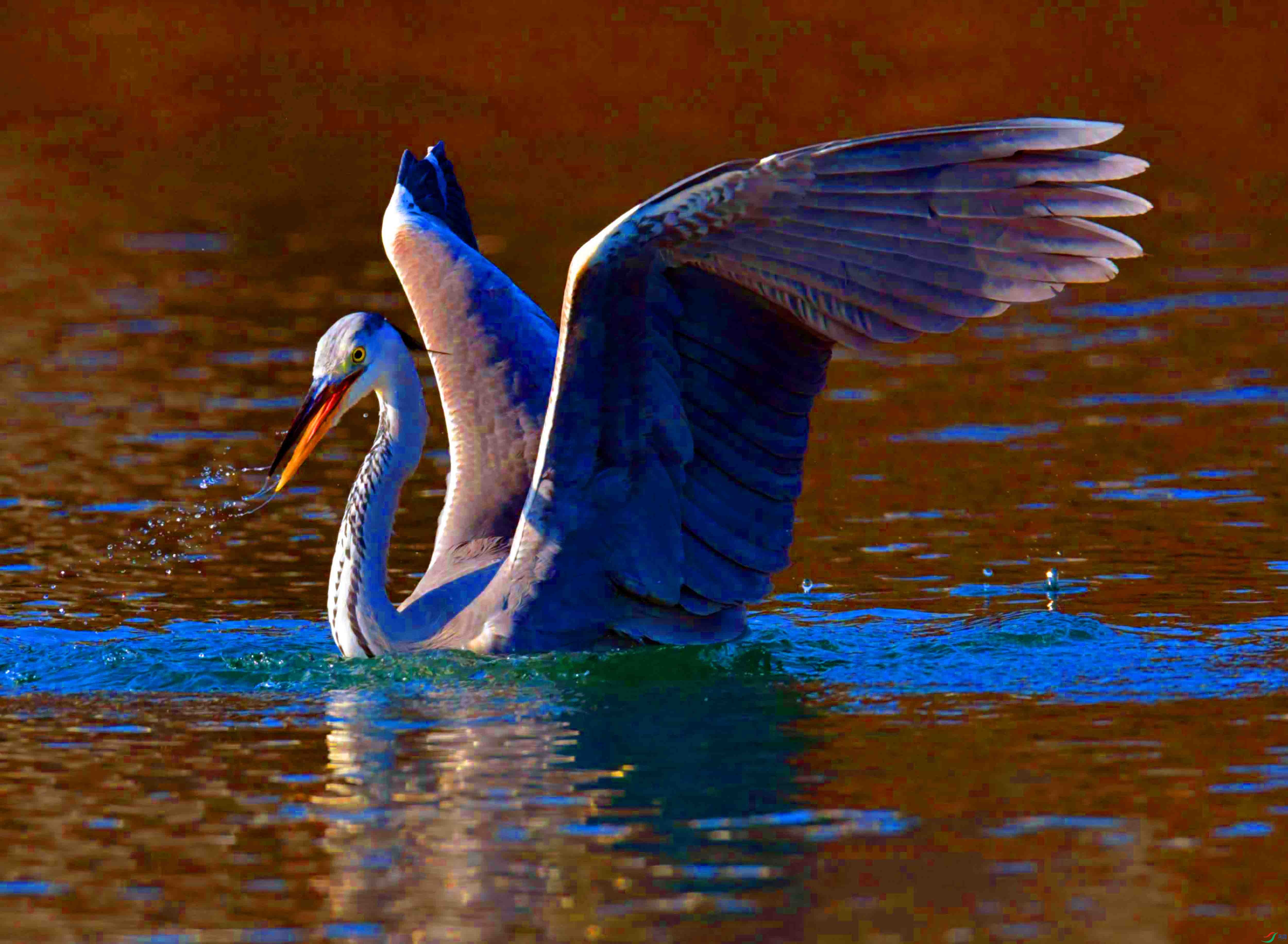 DSC_2134.JPG
