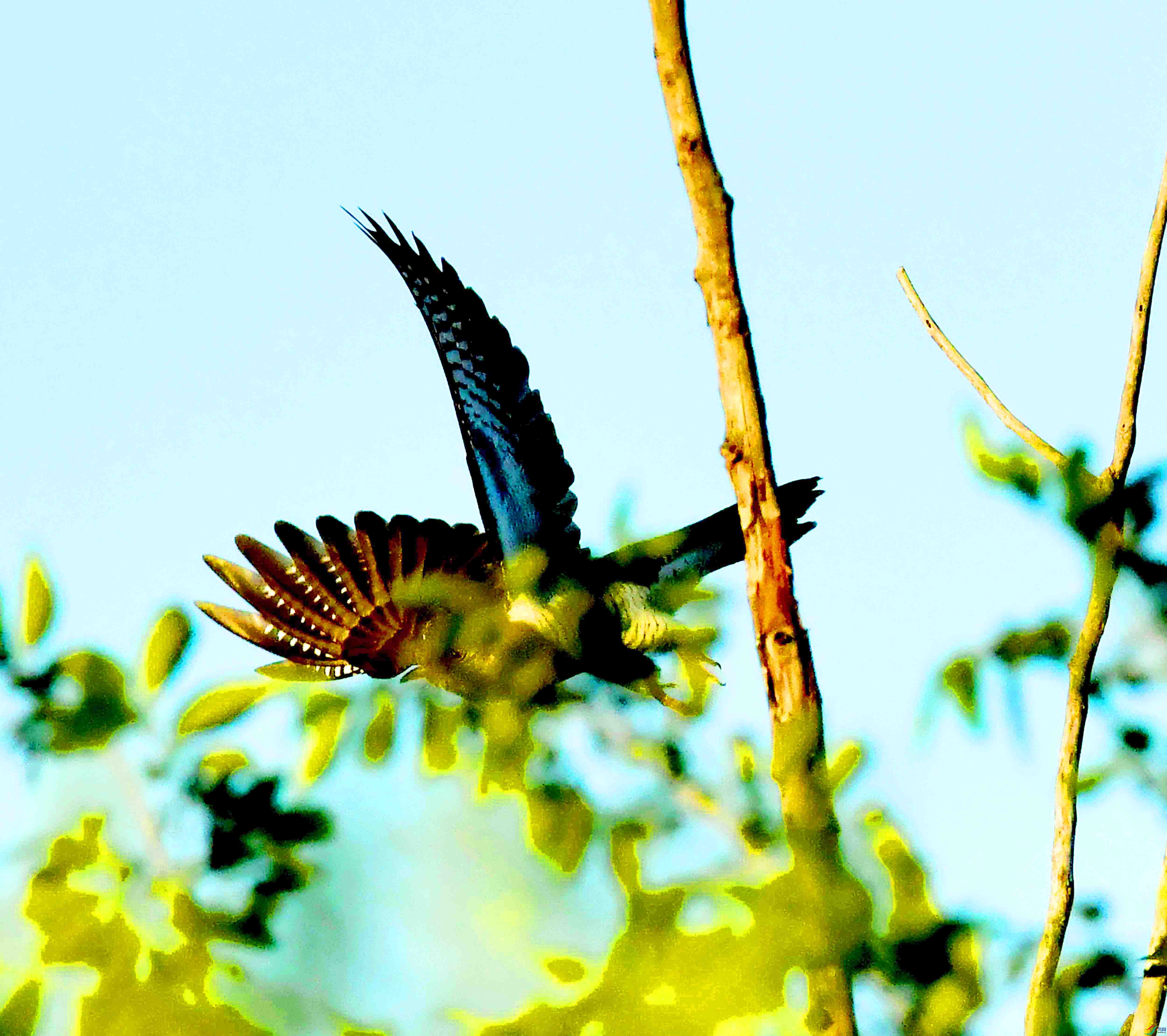 DSC_1061.JPG