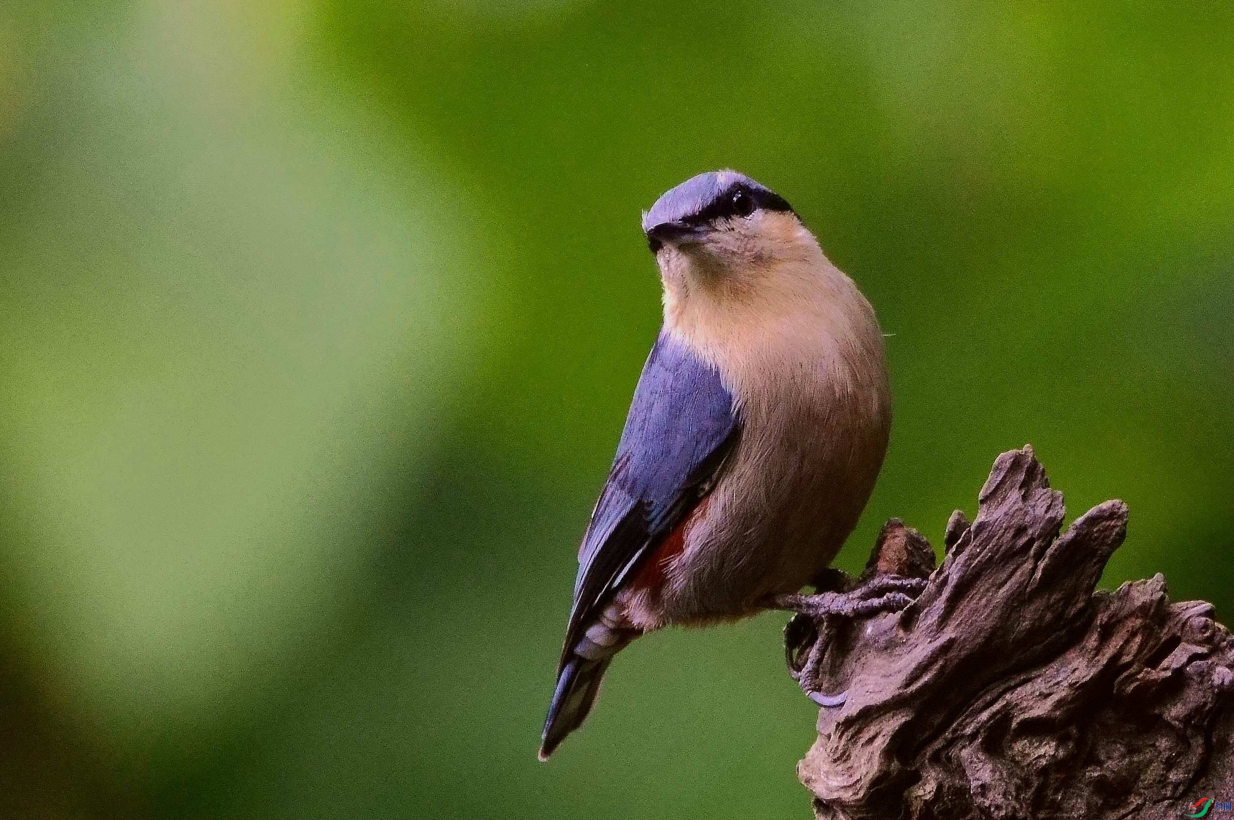 DSC_9712.JPG