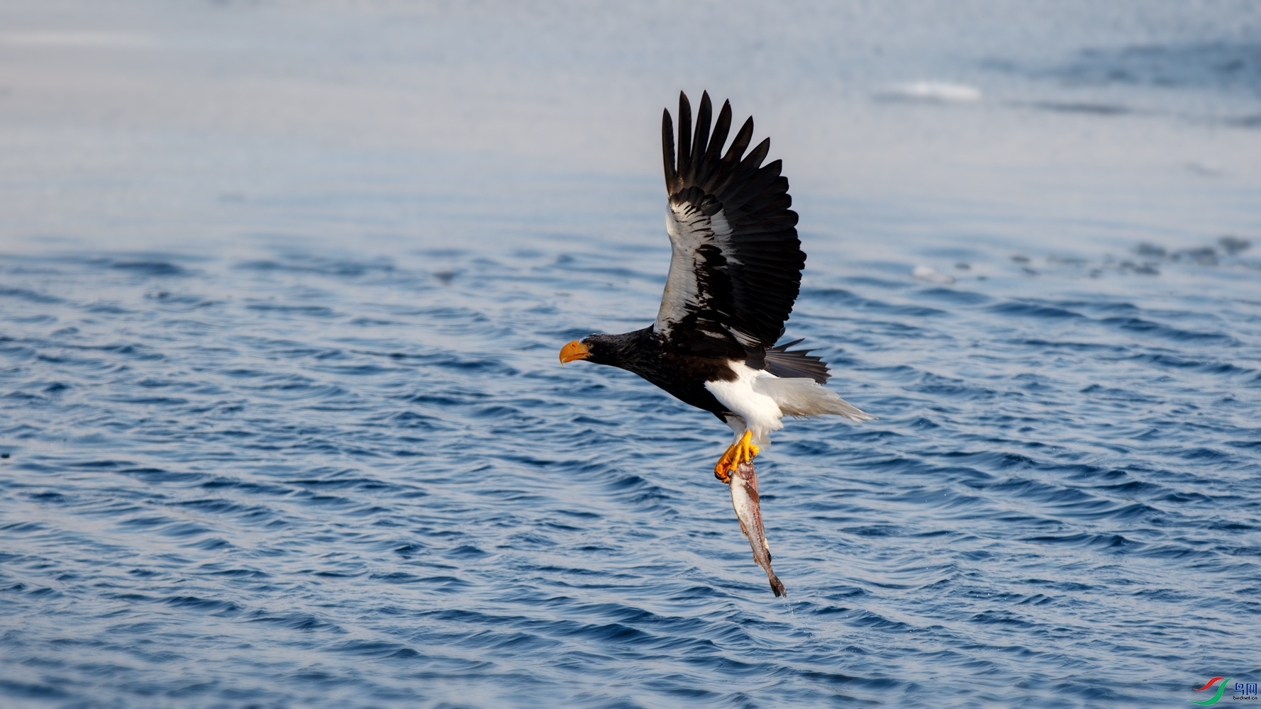 1N5A9978-����ǿ-NR ����.jpg