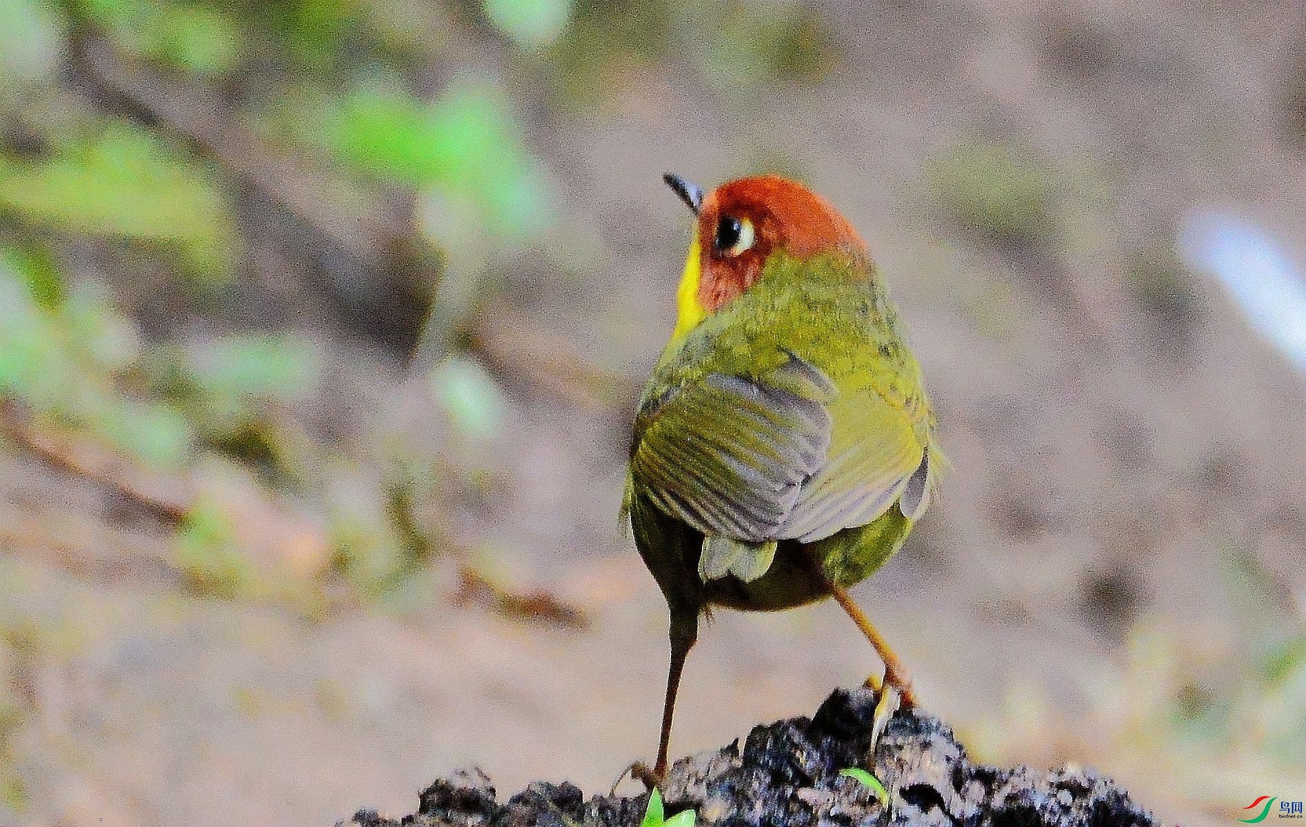 DSC_8050.JPG