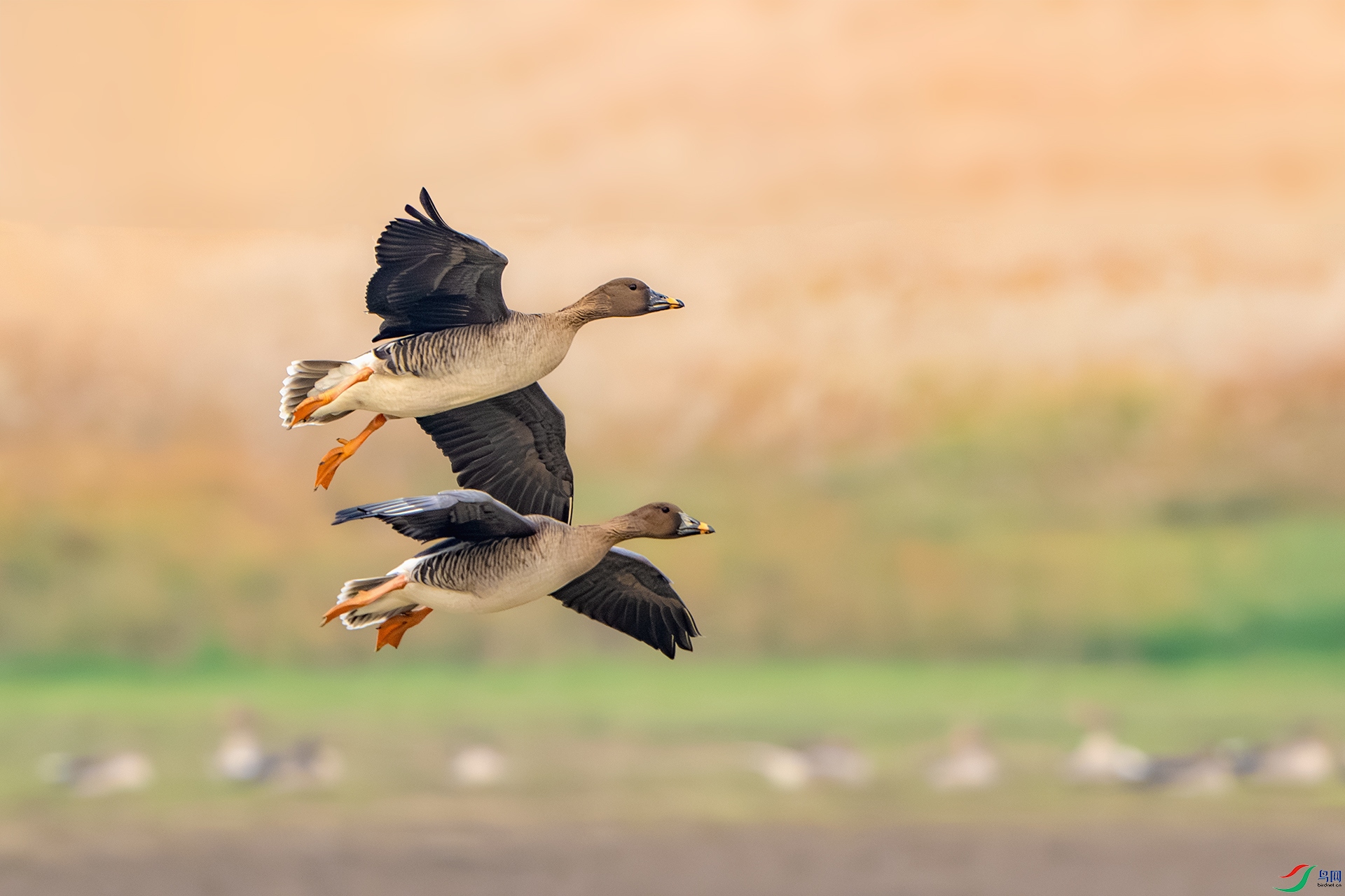 _DSC2538-����ǿ-NR ����С.jpg