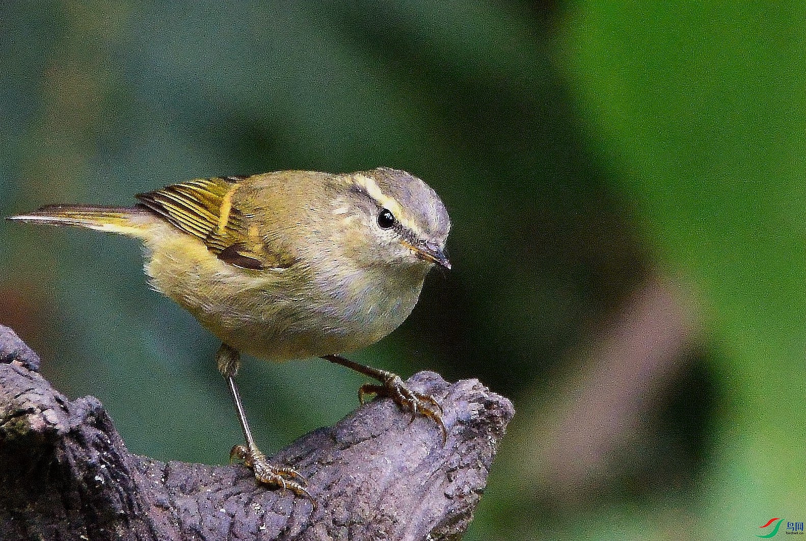 DSC_1042.JPG