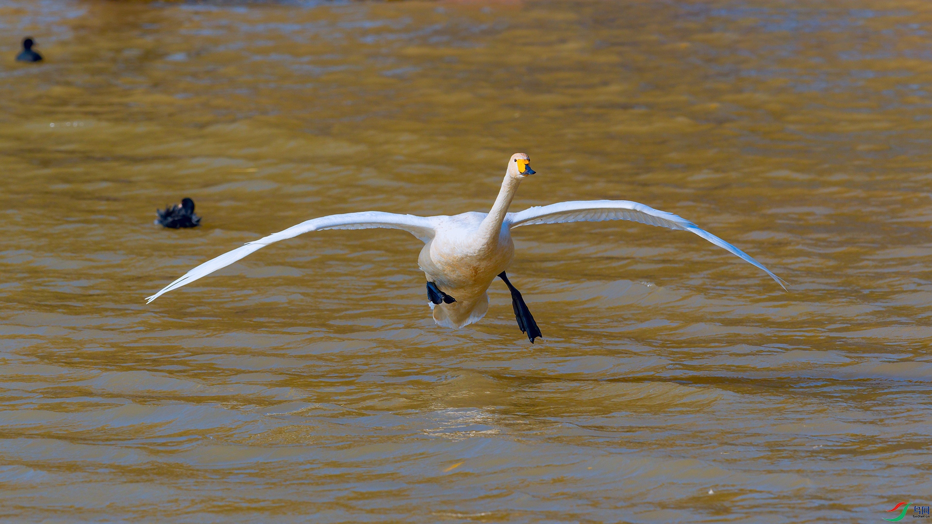 DSC_4806_DxOa.jpg