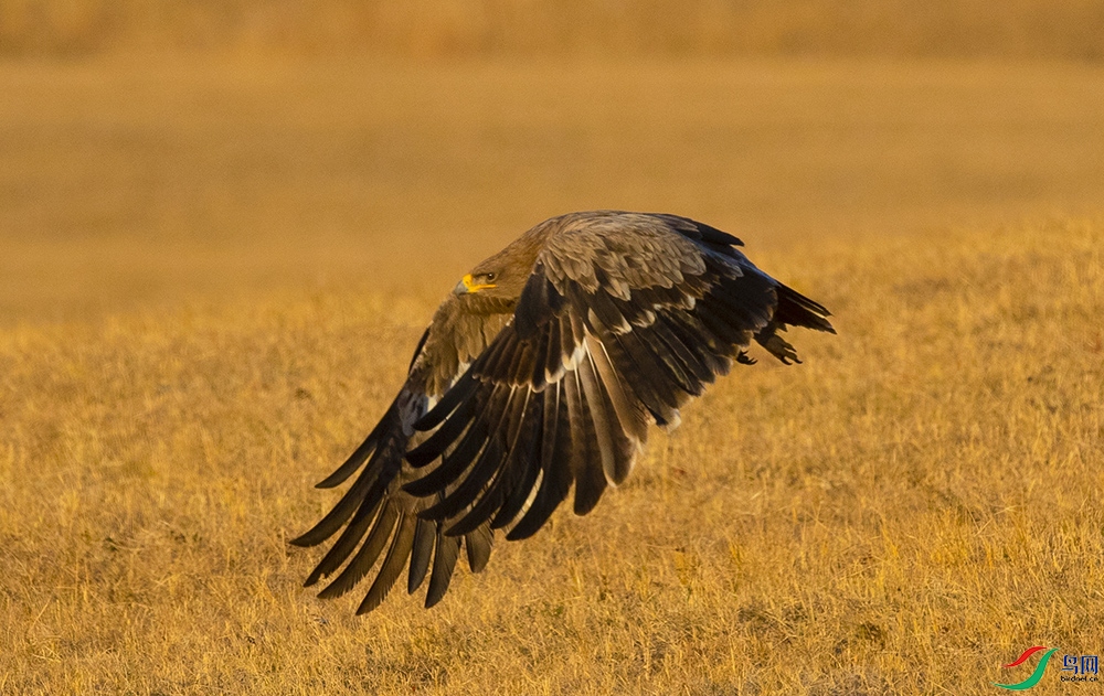 ��ԭ��4 (2).jpg