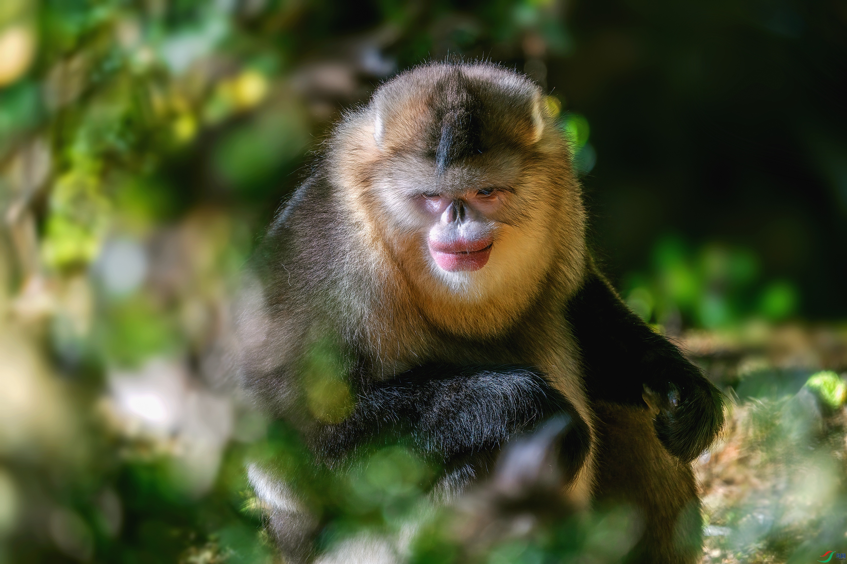 DSC05460 ���� 2.jpg