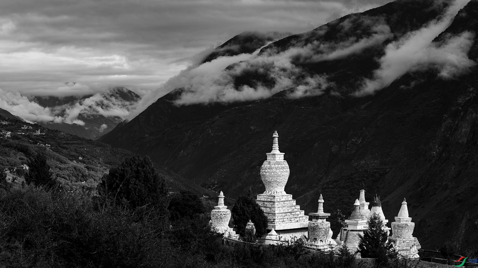 DSC_4193-20241031�� ��կ����.jpg