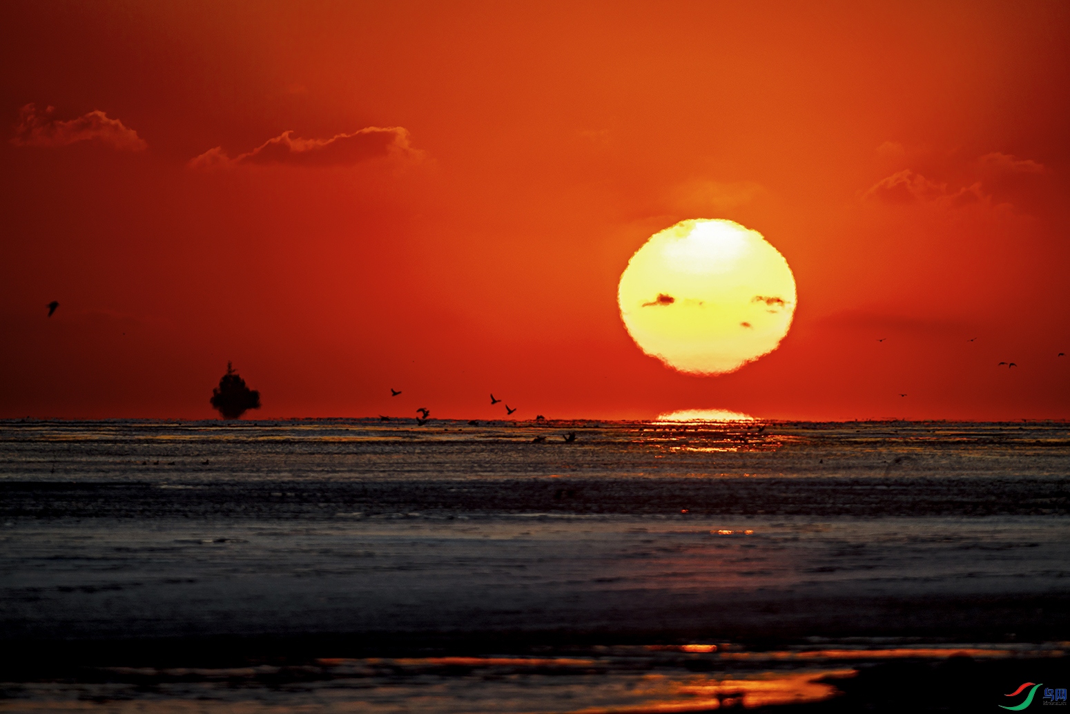 _5LM0287a.jpg