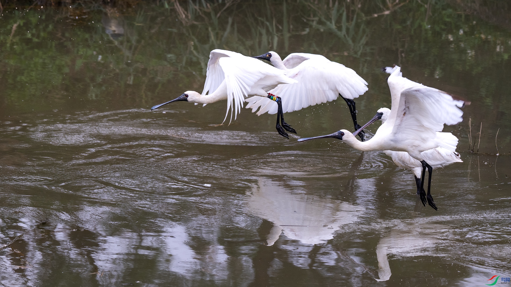 _DSC7719 ����-1.jpg