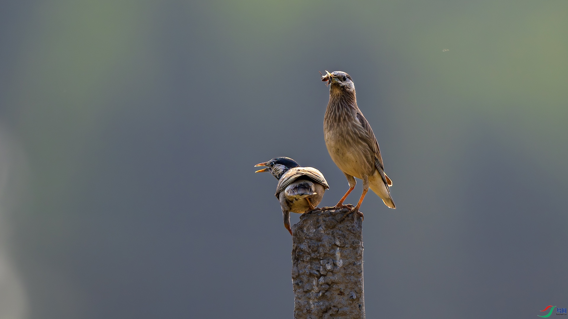 1_DSC0537-����ǿ-NR ����.jpeg