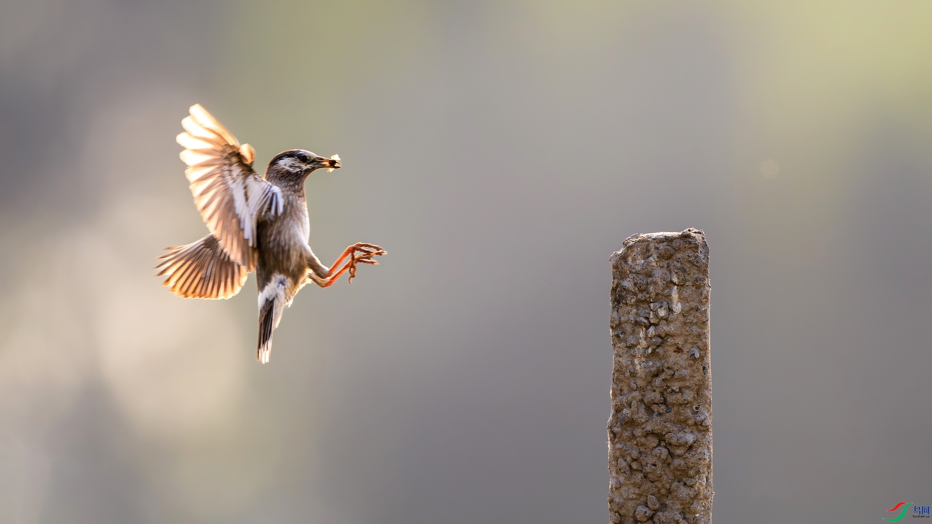 1_DSC0549-����ǿ-NR ����.jpeg