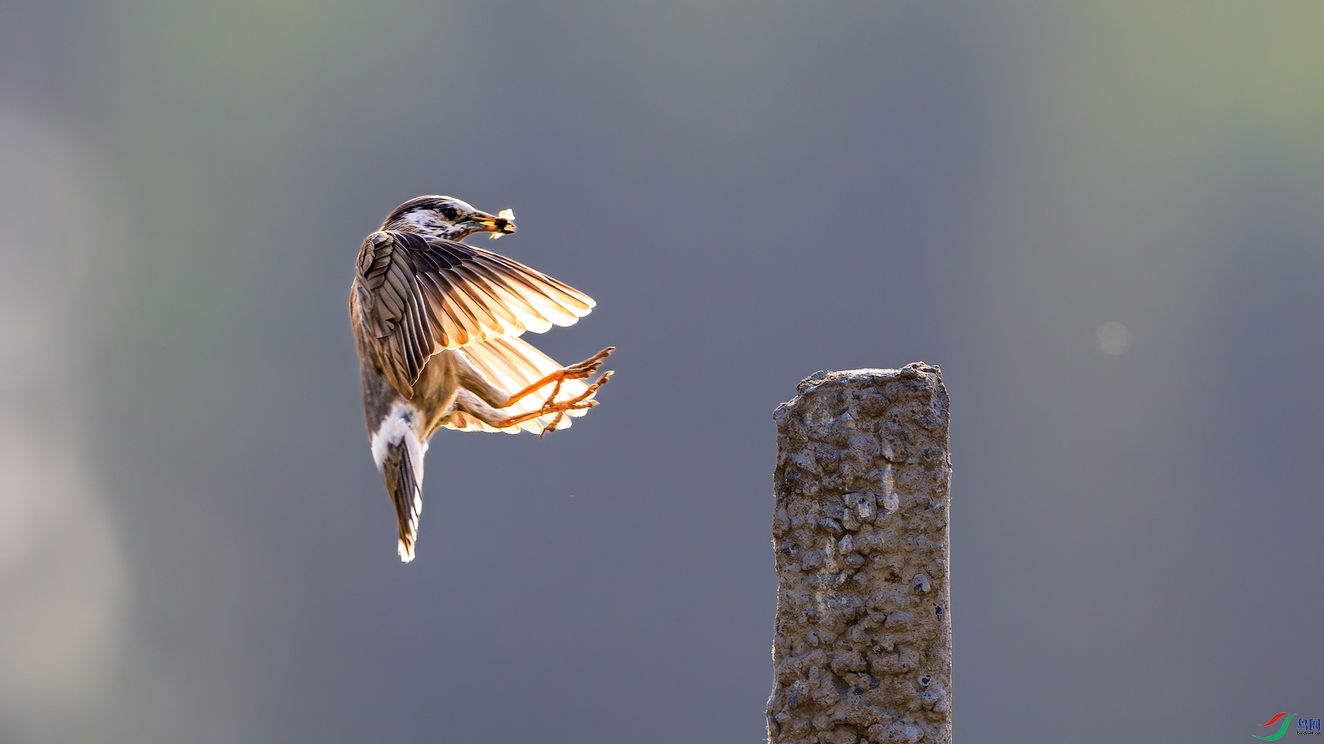 1_DSC0550-����ǿ-NR ����.jpg