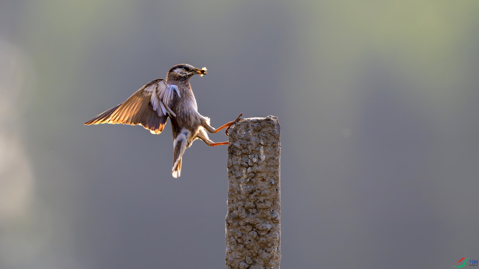 1_DSC0551-����ǿ-NR ����.jpg