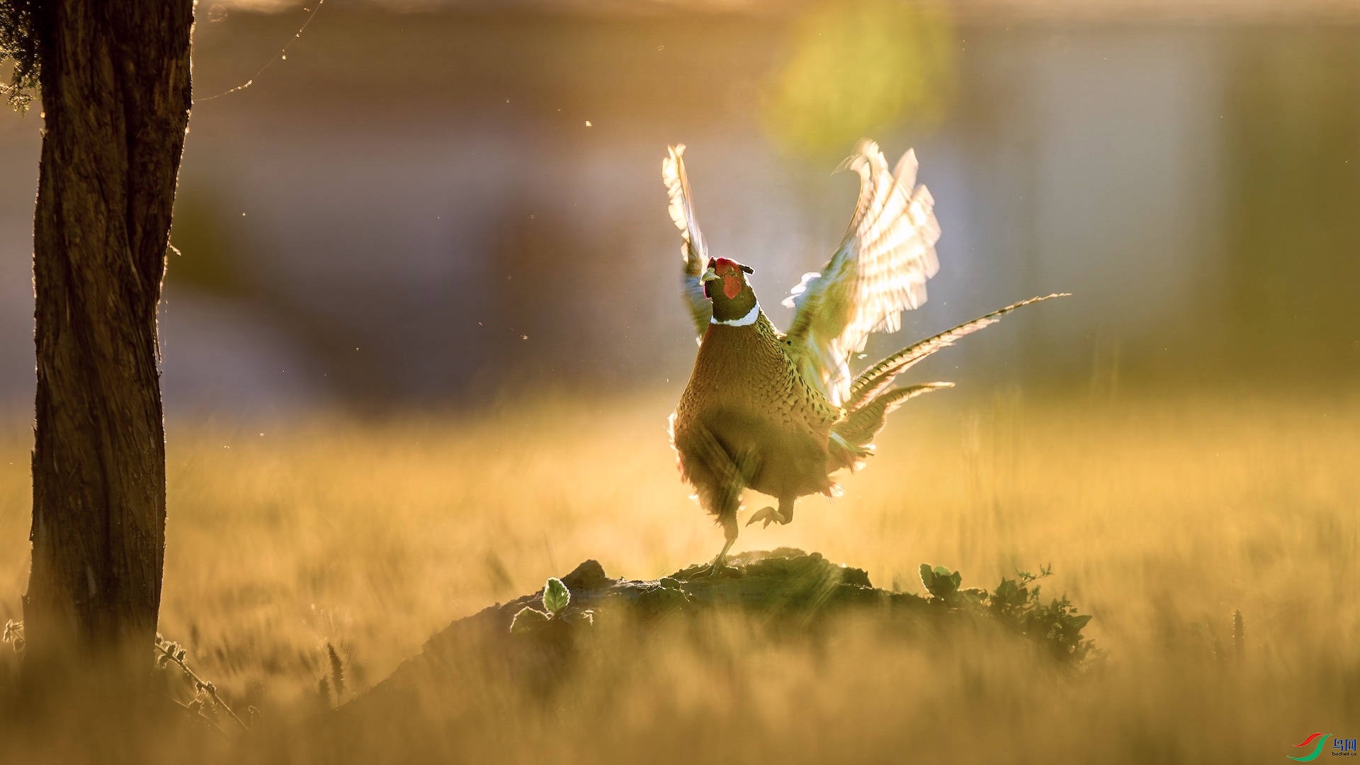 1_DSC8691-����ǿ-NR ���� 2.jpeg