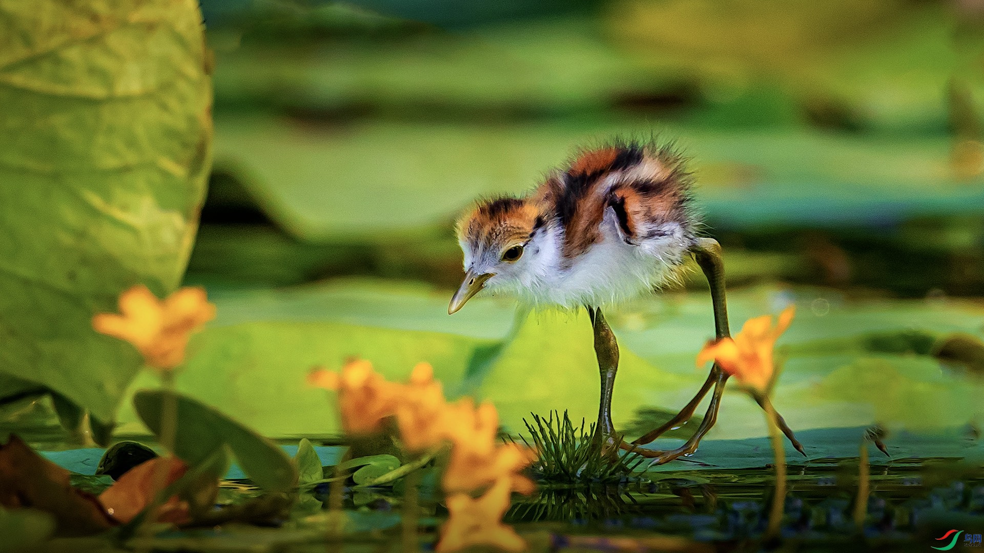 1_M1I8366-1 ����.jpg