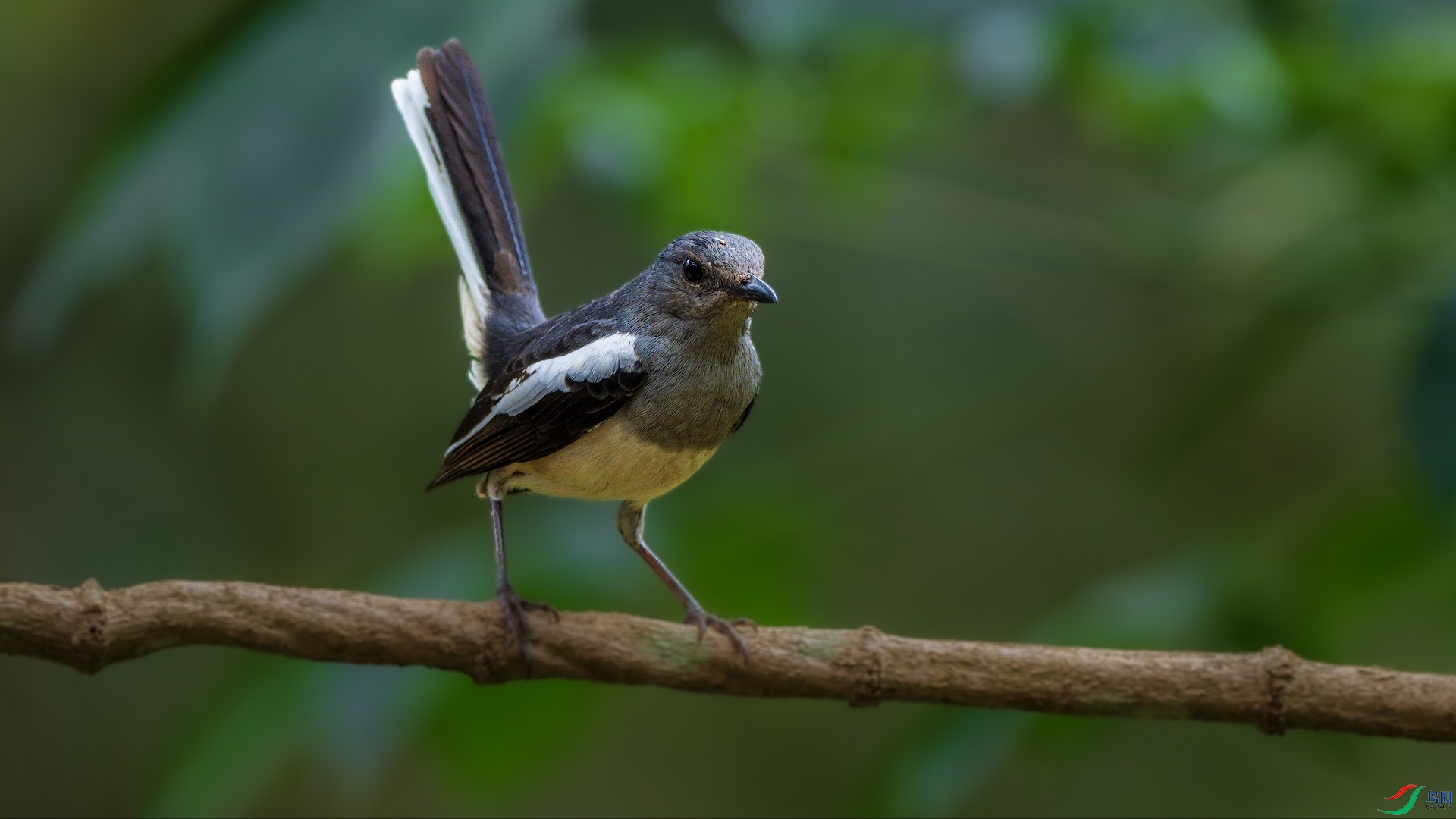 1_XXL9411 ����.jpg