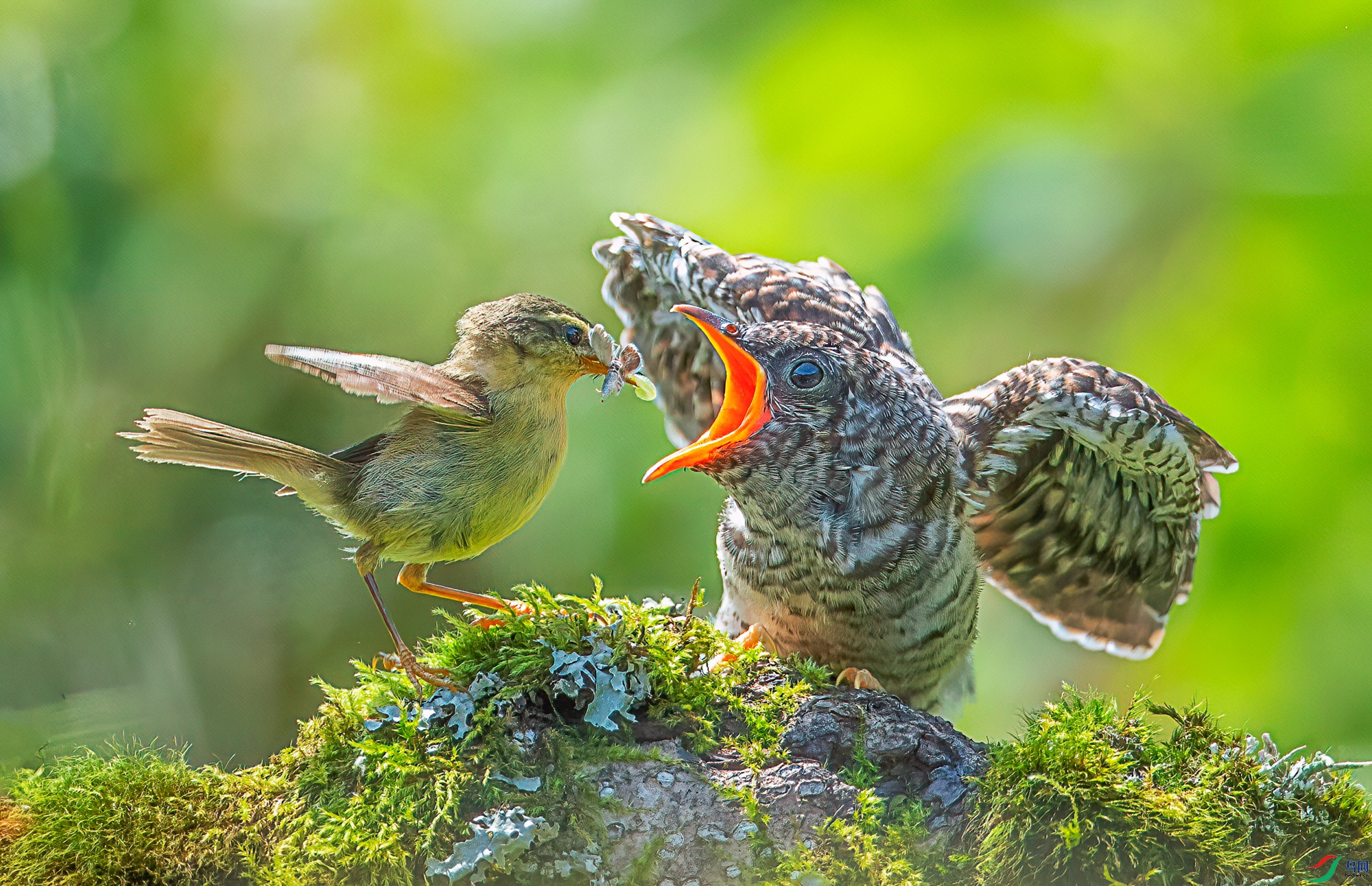 AJ9I5382.jpg