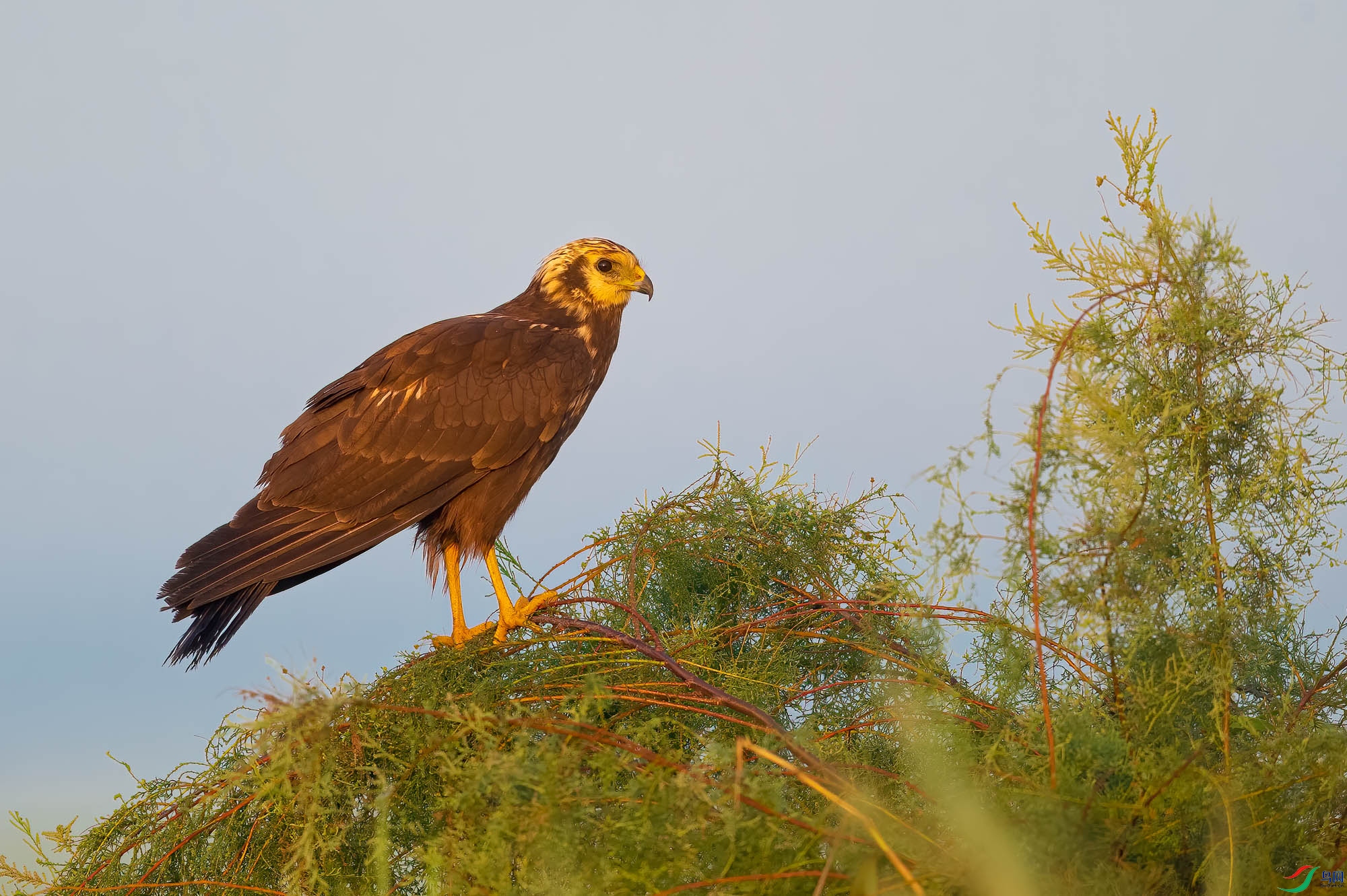 sen2016 8-16-6-�༭-�༭.jpg