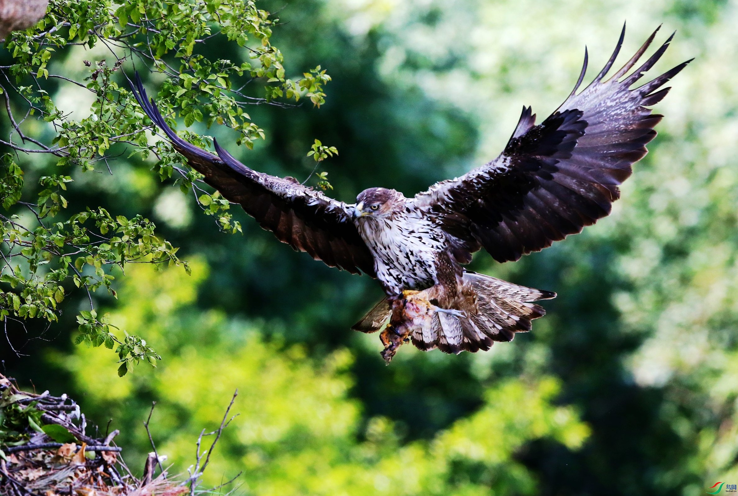 �׸����� (141).JPG